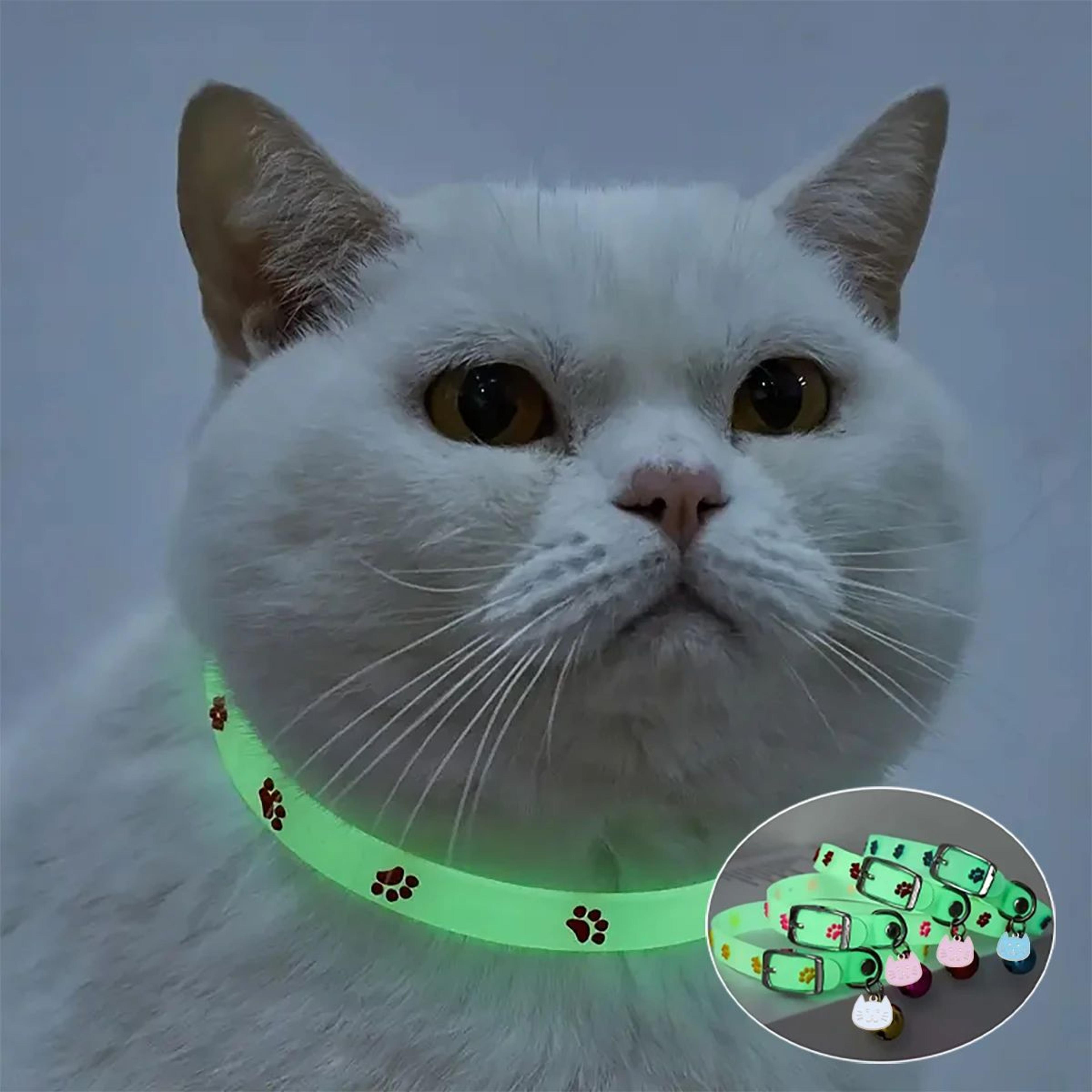 glow-in-the-dark paw print cat collar – adjustable luminous pet collar with cute charm for kittens, cats & small dogs