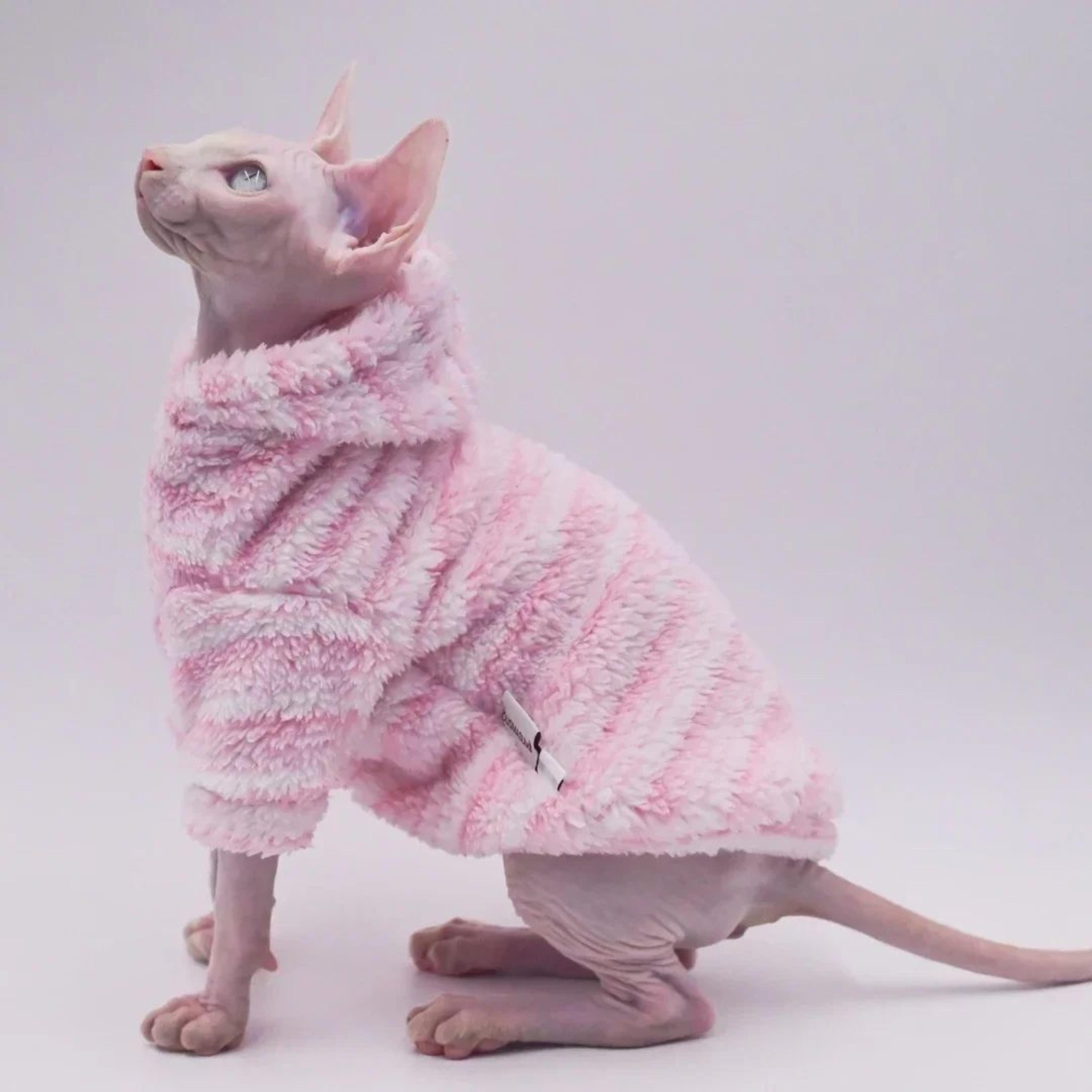 Plush DoubleSided Winter Sphynx Cat Jacket  Thick Warm Coat For Hairless Cats Sphynx  Devon Rex 8