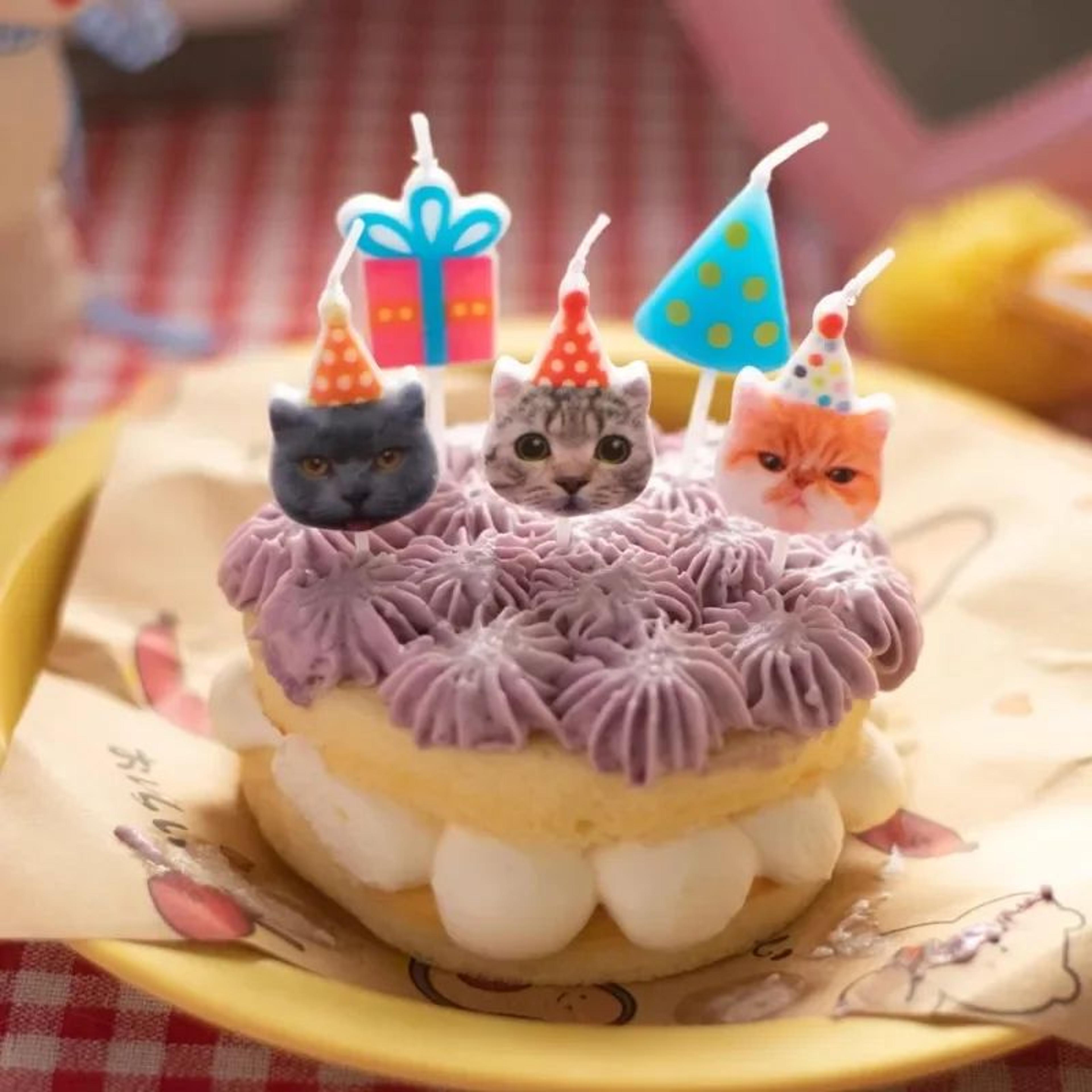 Cat Birthday Cake Candles Gift Box Set  Cute Paraffin Wax Party Cake Decorations For Pet Birthday C 3