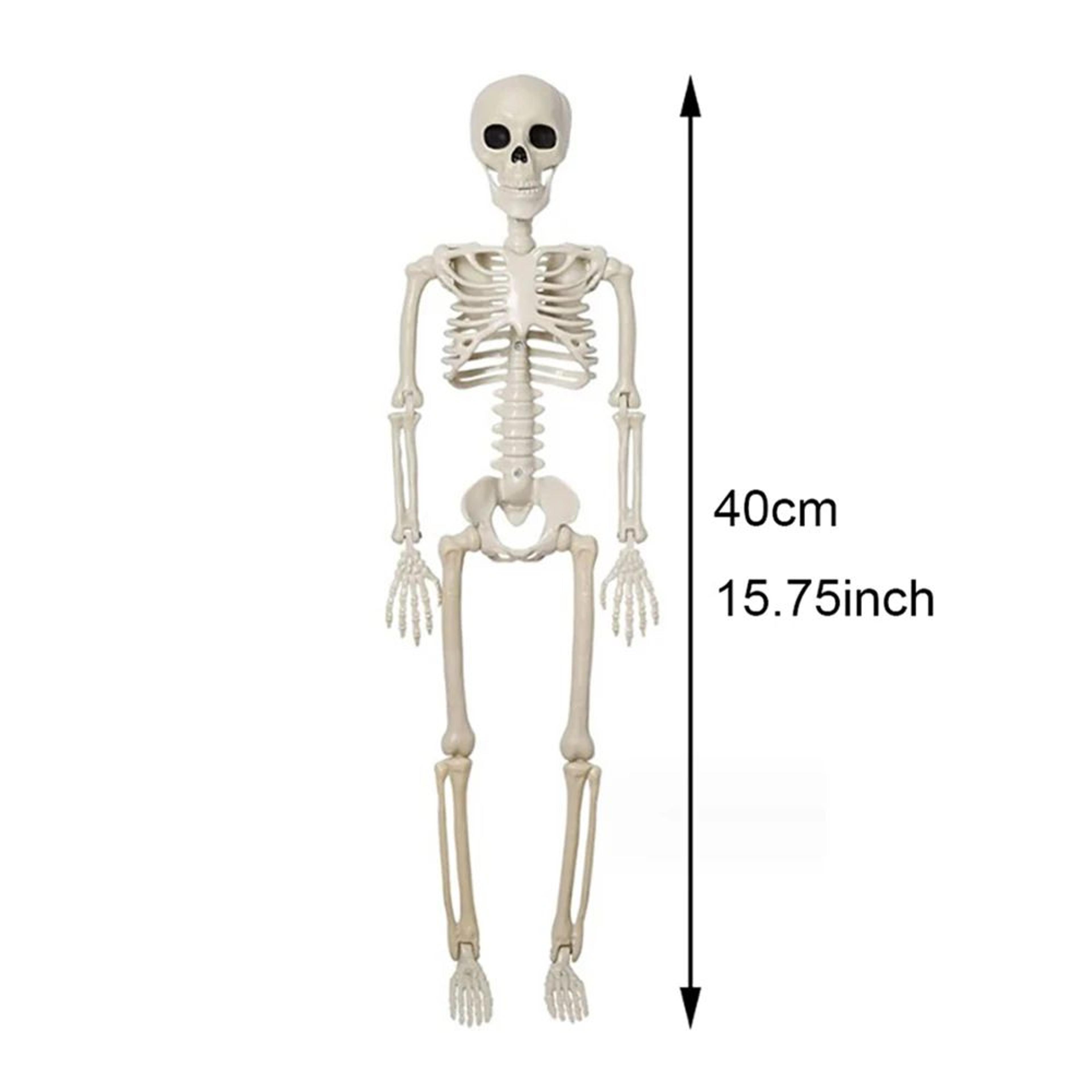 Posable Human Skeleton Halloween Decoration  Fake Bone Horror Prop For Parties  Haunted House Decor 6