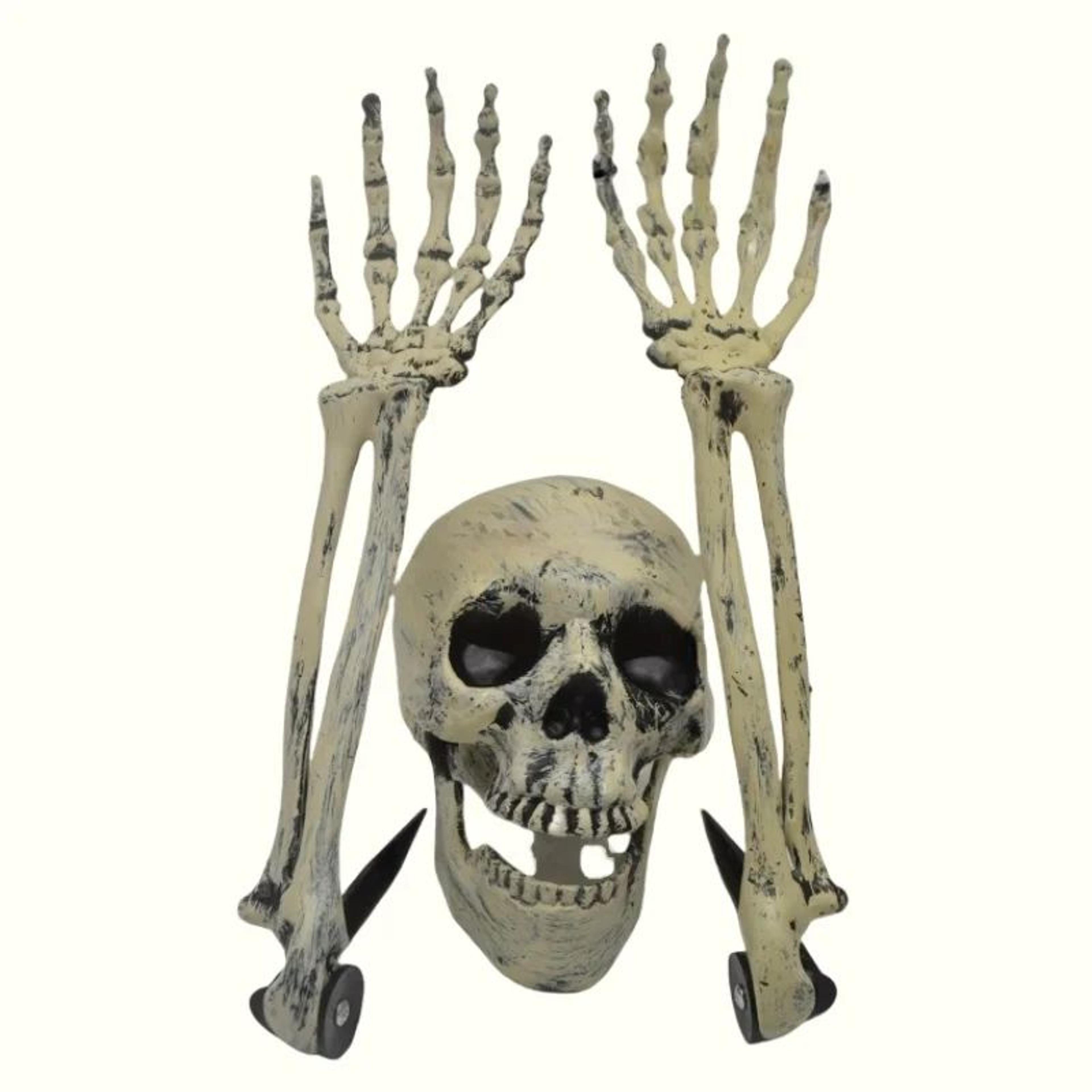 Skeleton Skull  Hand Garden Stakes  Halloween Yard Ground Decorations  Outdoor Party Decor 9