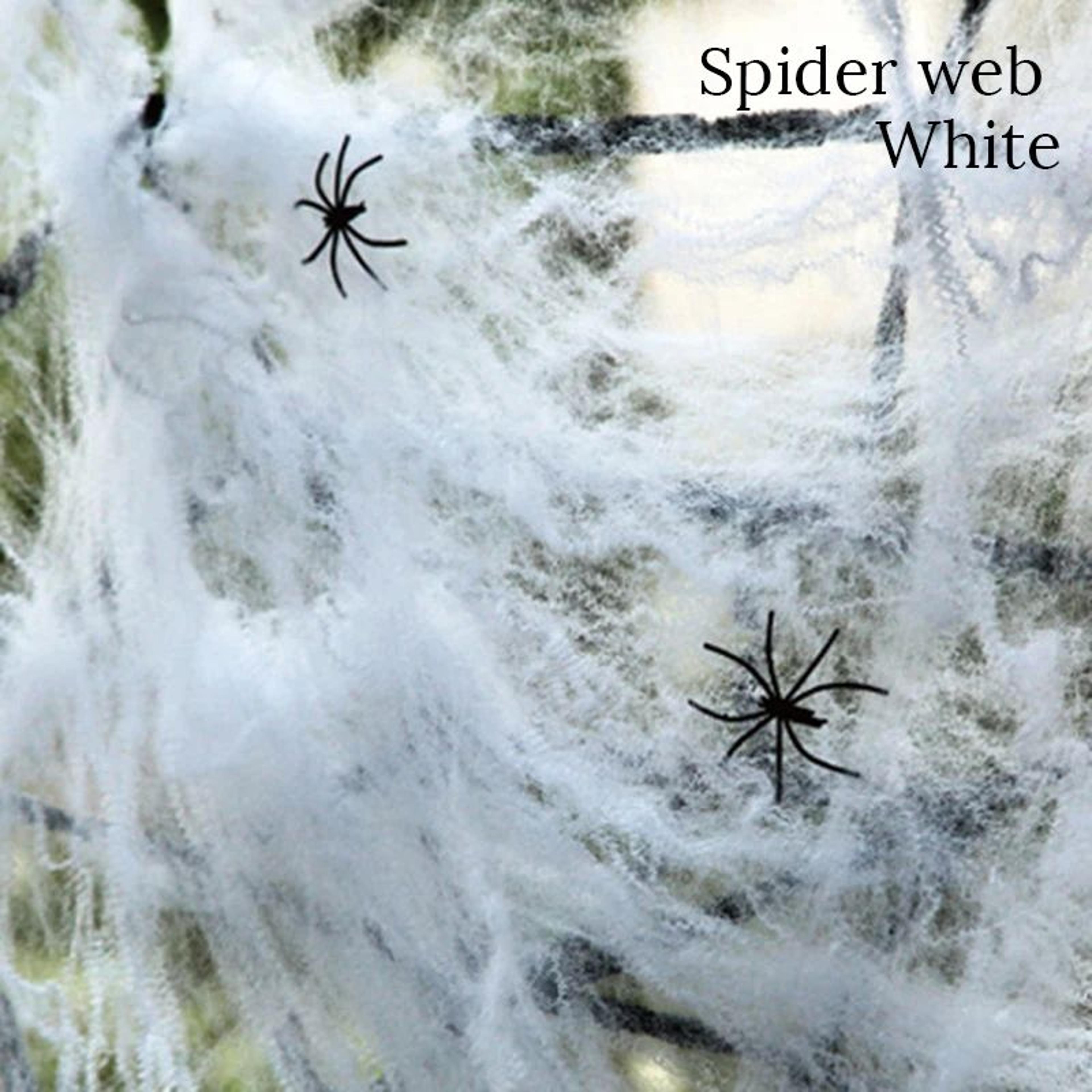 Stretchable Artificial Spider Web  Halloween Cobweb Decoration For Haunted Houses Parties  IndoorOu 3