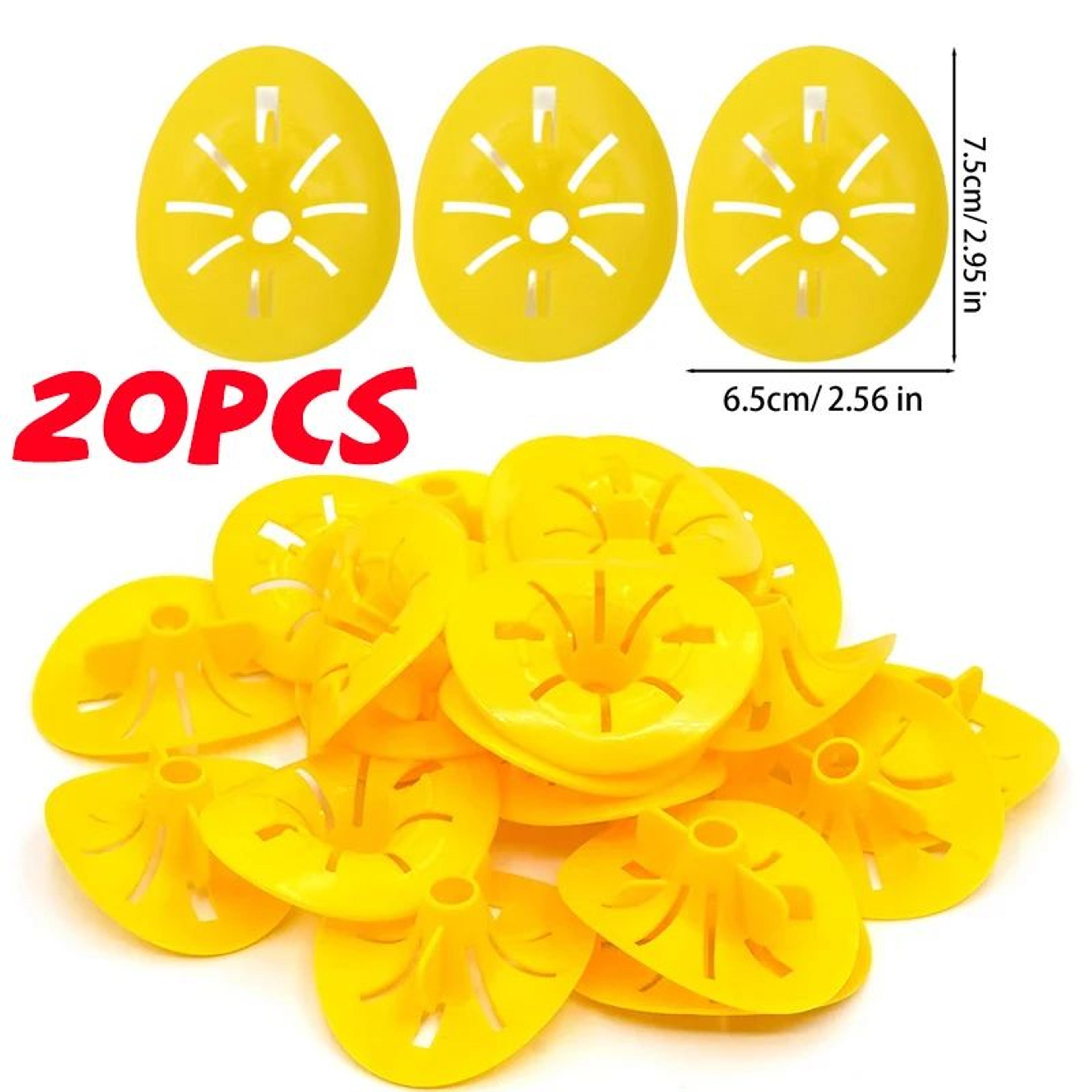 Reusable Bottle Wasp Trap Funnel  Plastic Insect Catcher For Wasps Hornets Yellow Jackets  Fruit Fl 8