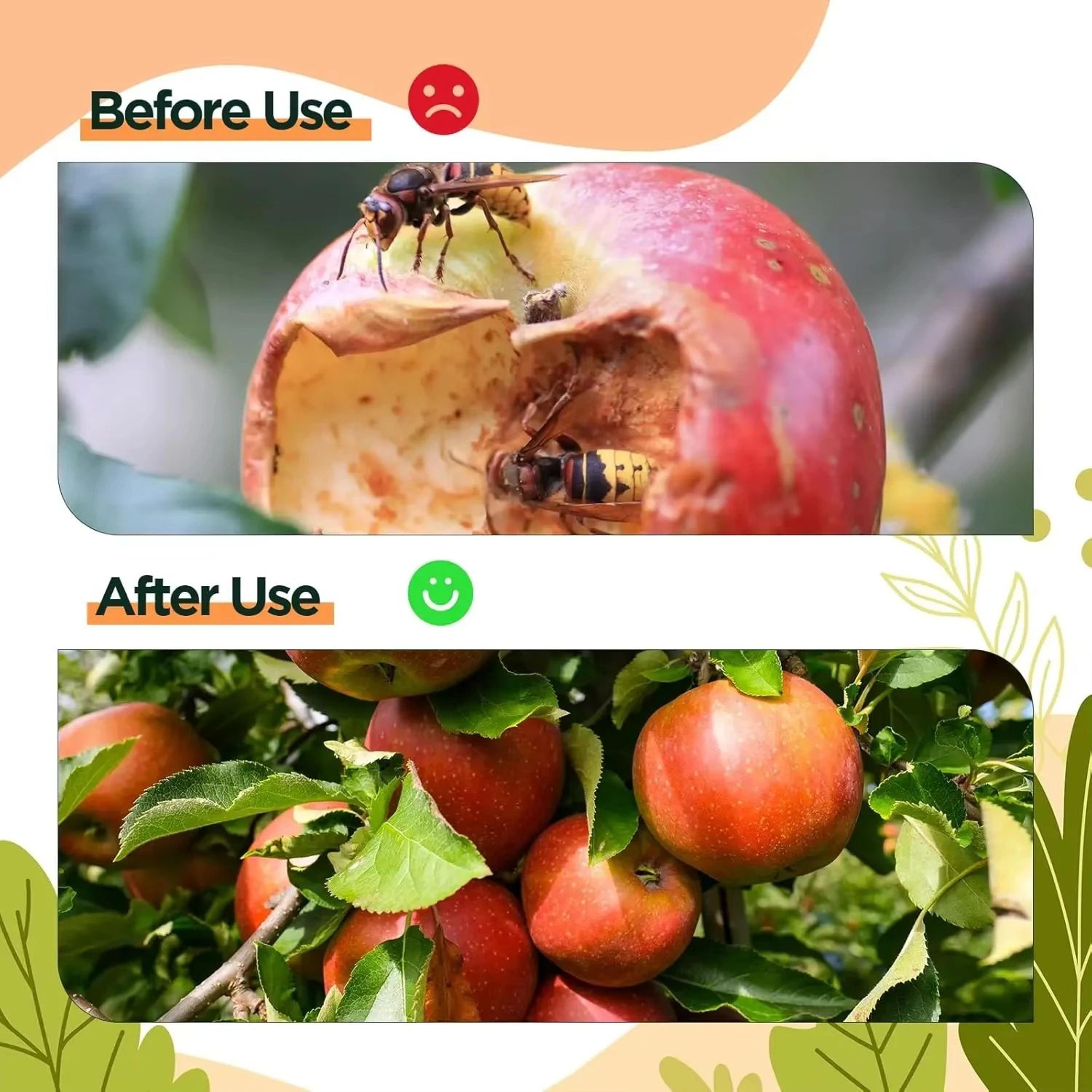 Reusable Hanging Fruit Fly  Wasp Trap  Waterproof Outdoor Insect Catcher For Garden Orchard  Indoor 4