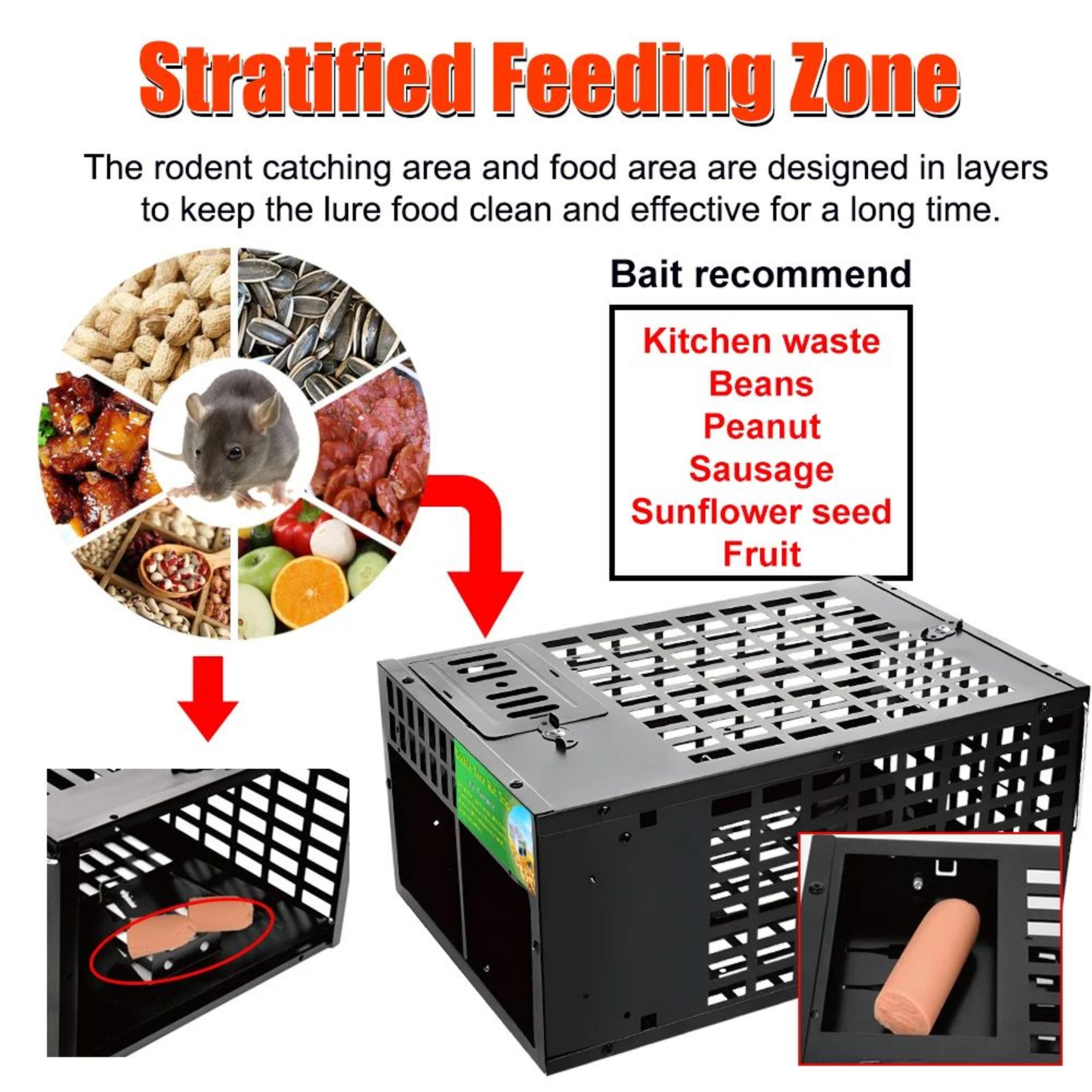 DoubleDoor Live Mouse Trap Cage  Humane Reusable Rat Catcher For Indoor  Outdoor Pest Control 1