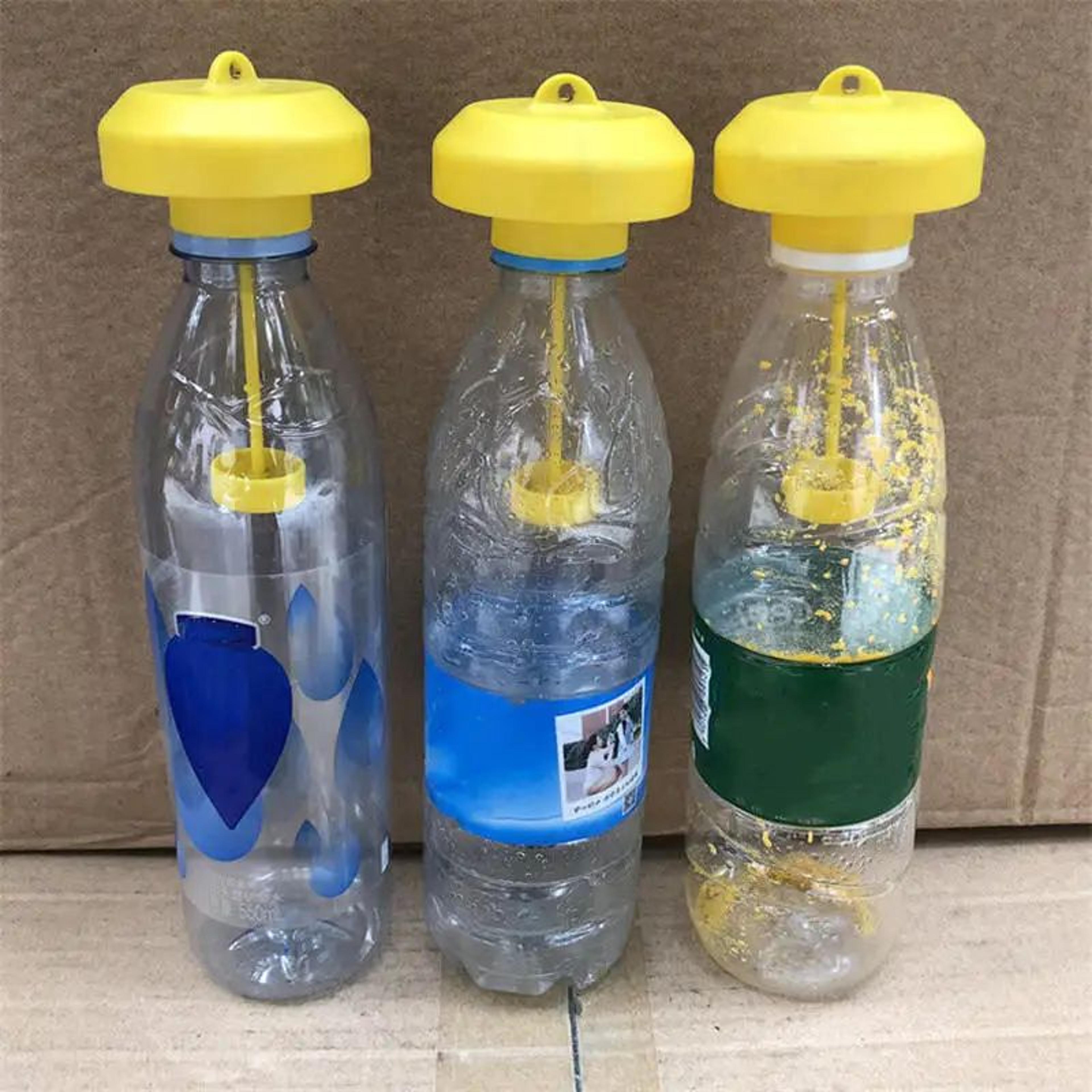 Plastic Fruit Fly Trap  Reusable Drosophila Insect Catcher For Orchards Gardens  Pest Control 0