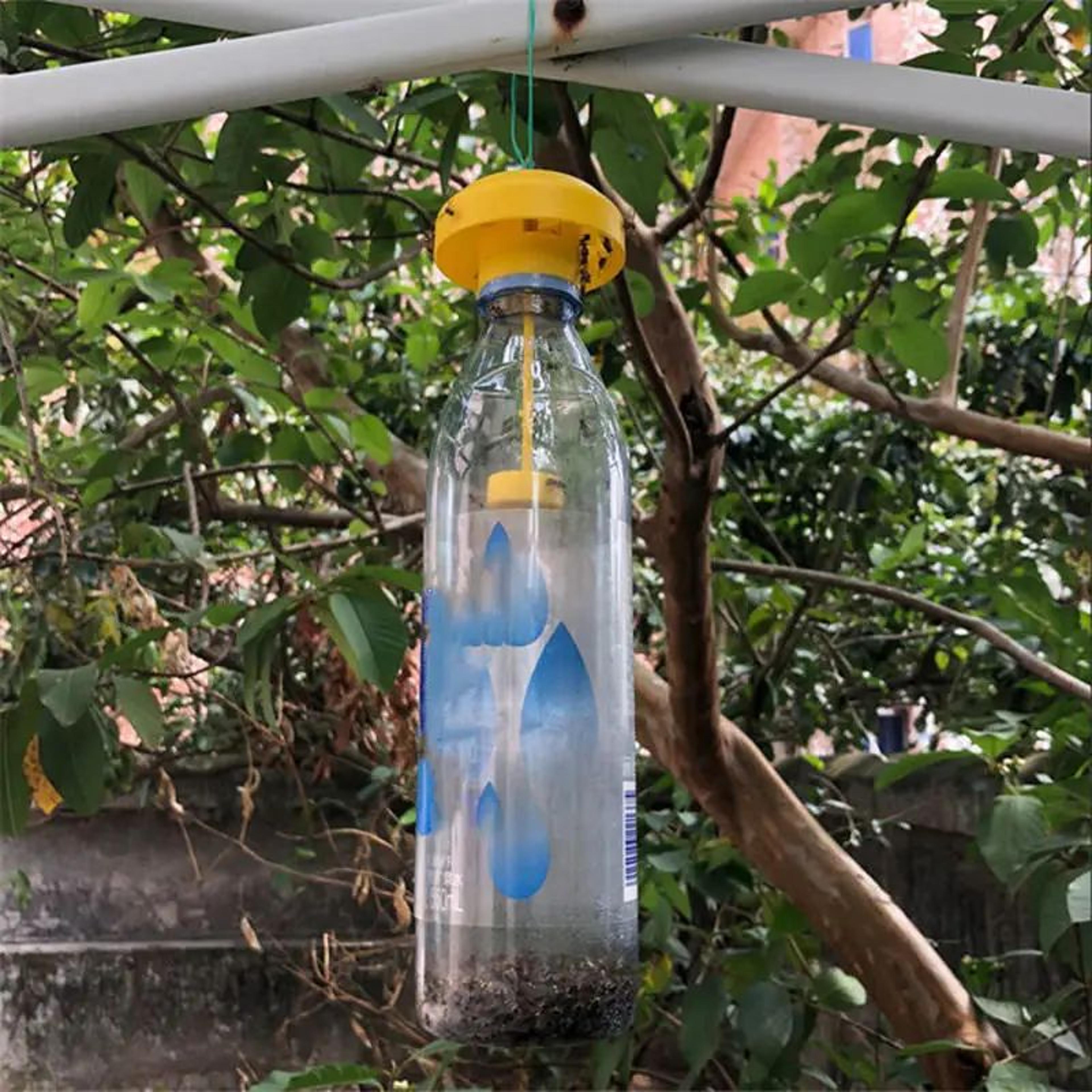 Plastic Fruit Fly Trap  Reusable Drosophila Insect Catcher For Orchards Gardens  Pest Control 5