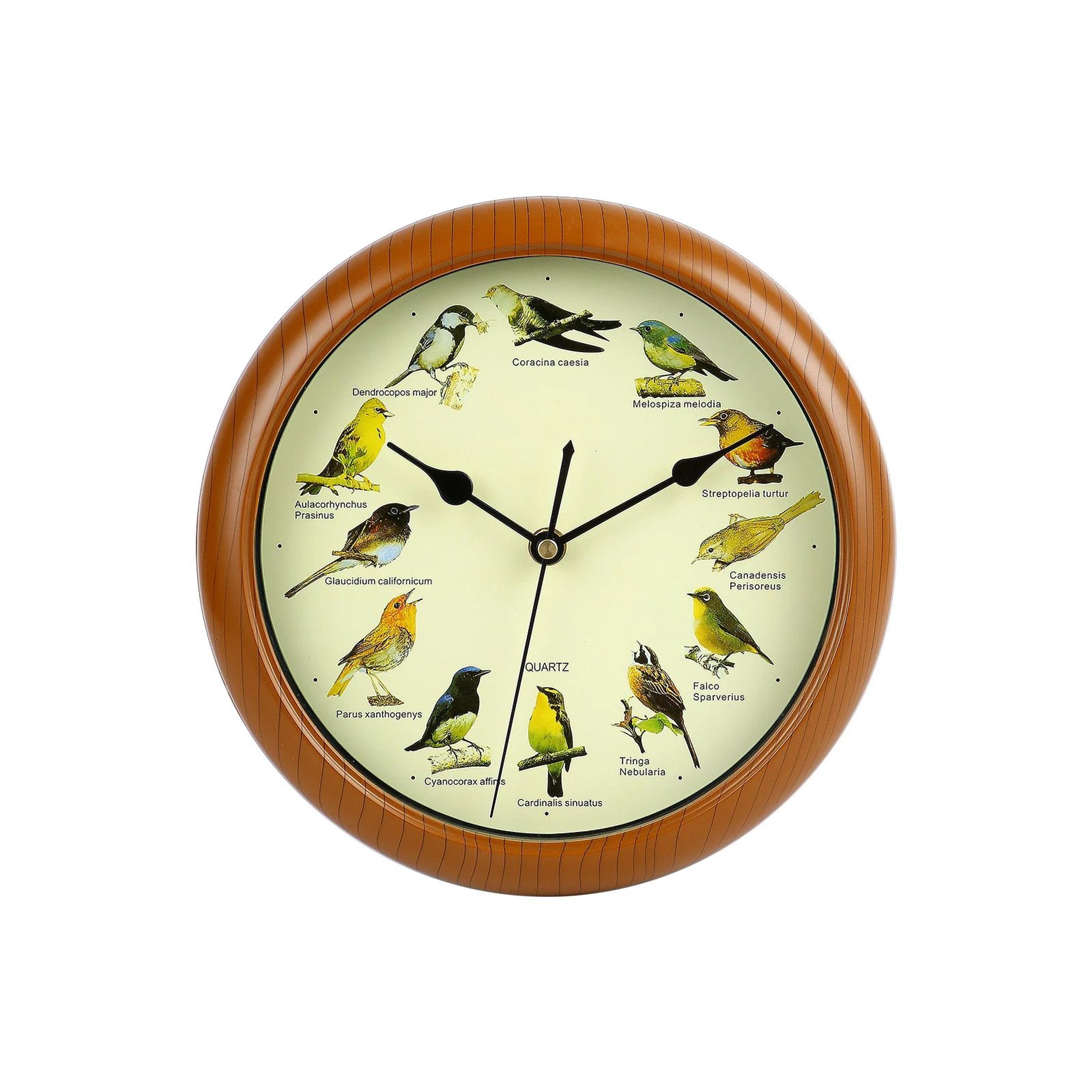 Singing Bird Wall Clock  Decorative Sound Clock With Bird Calls For Kitchen Living Room Bedroom  Ho 2