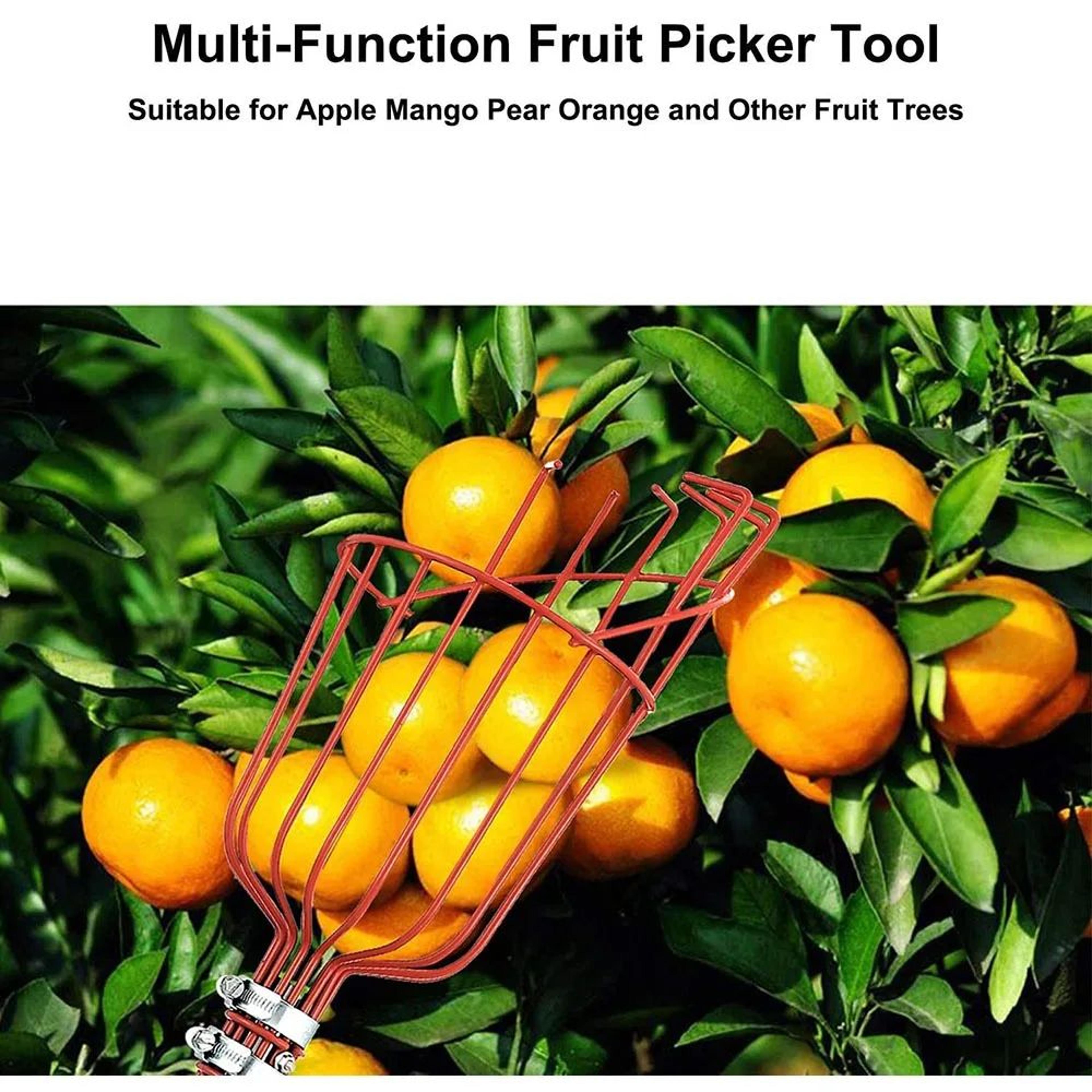 1024 In Fruit Picker  Adjustable Depth Metal Picking Basket With Foam Pad For Apples Pears Oranges  5