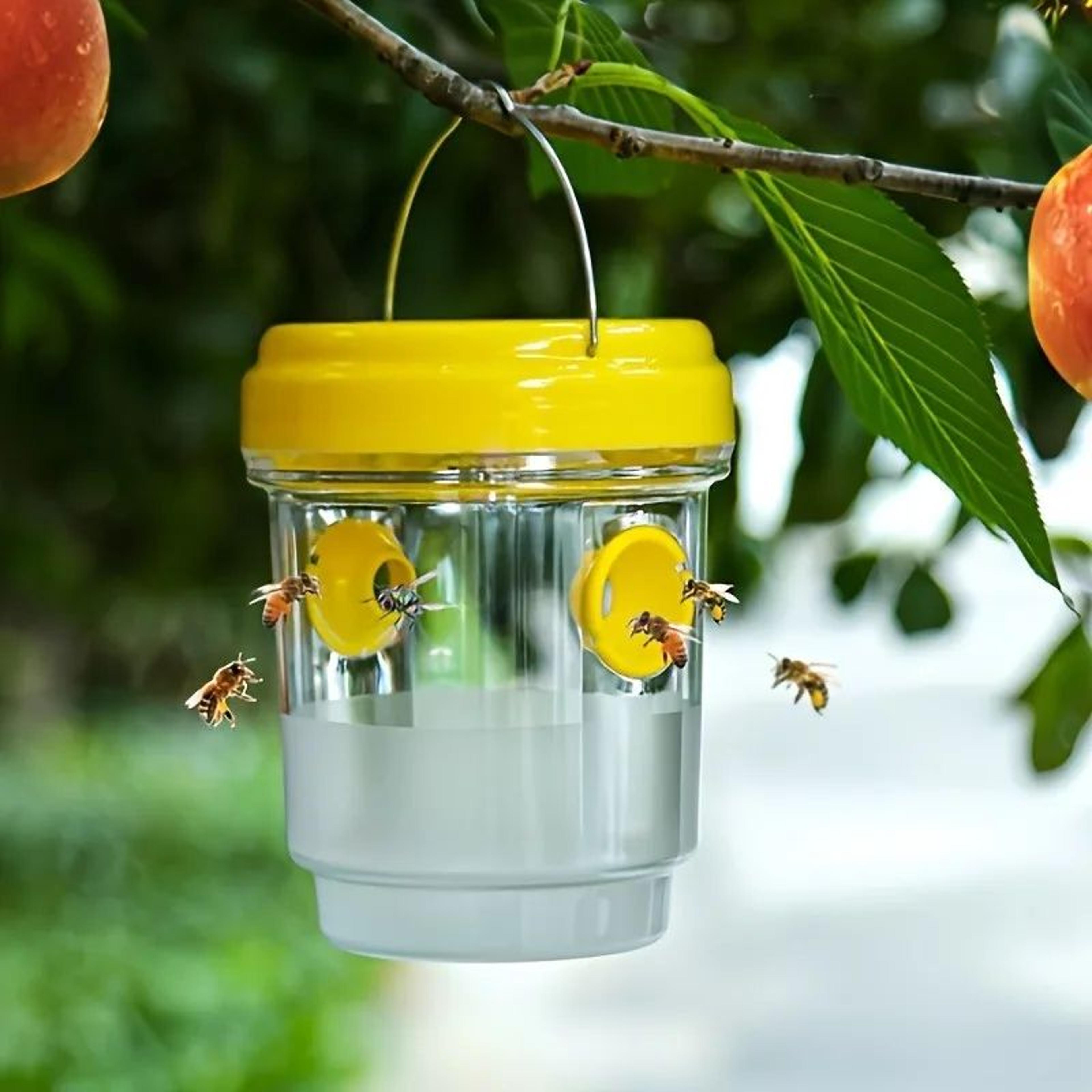 Clear Outdoor Insect Trap  Reusable Plastic Fruit Fly  Wasp Catcher With Lid For Garden Patio  Yard 8