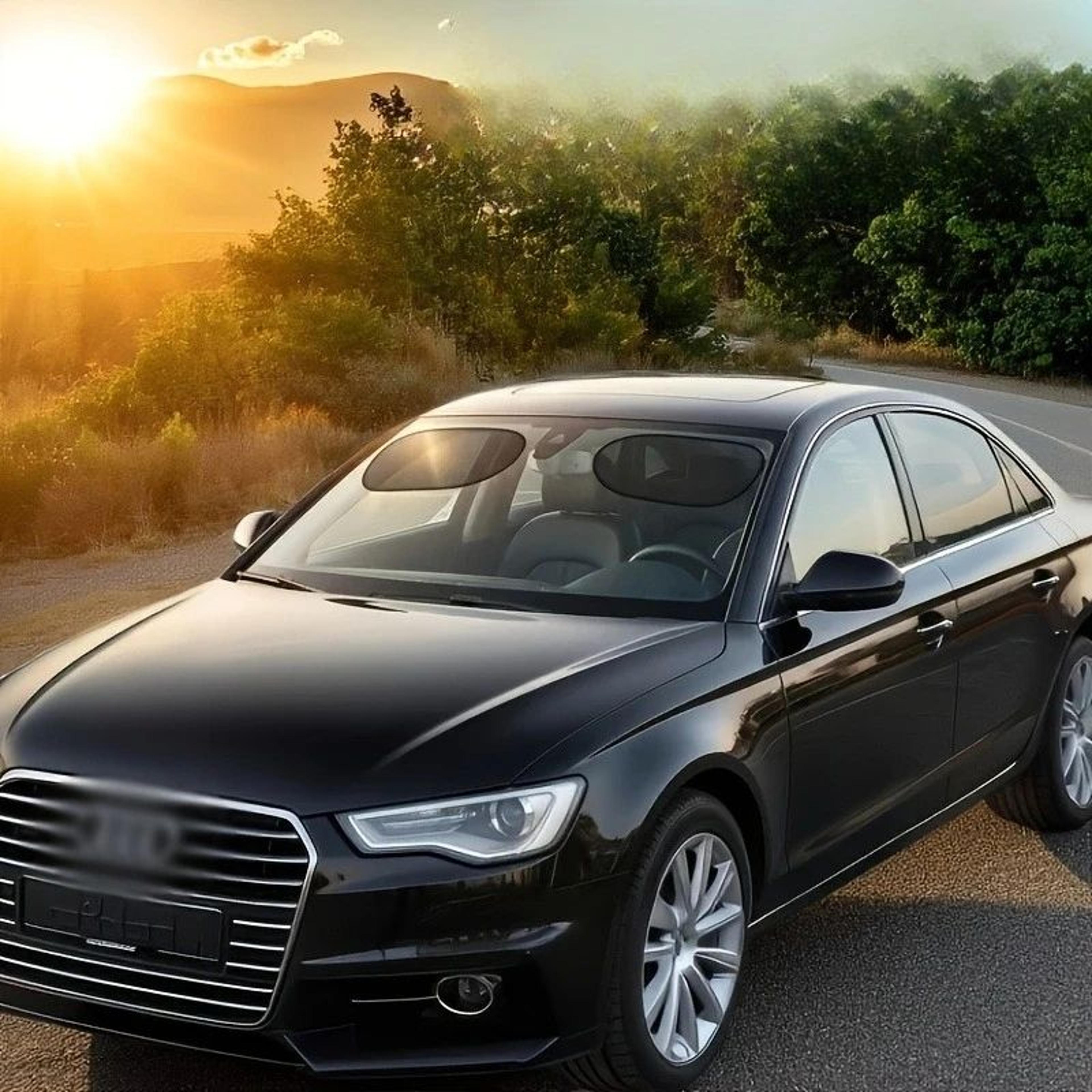 2pcs Polyester Car Window Sunshades  AntiGlare UV Protection For Front Rear Side Windows  Sunroof D 4