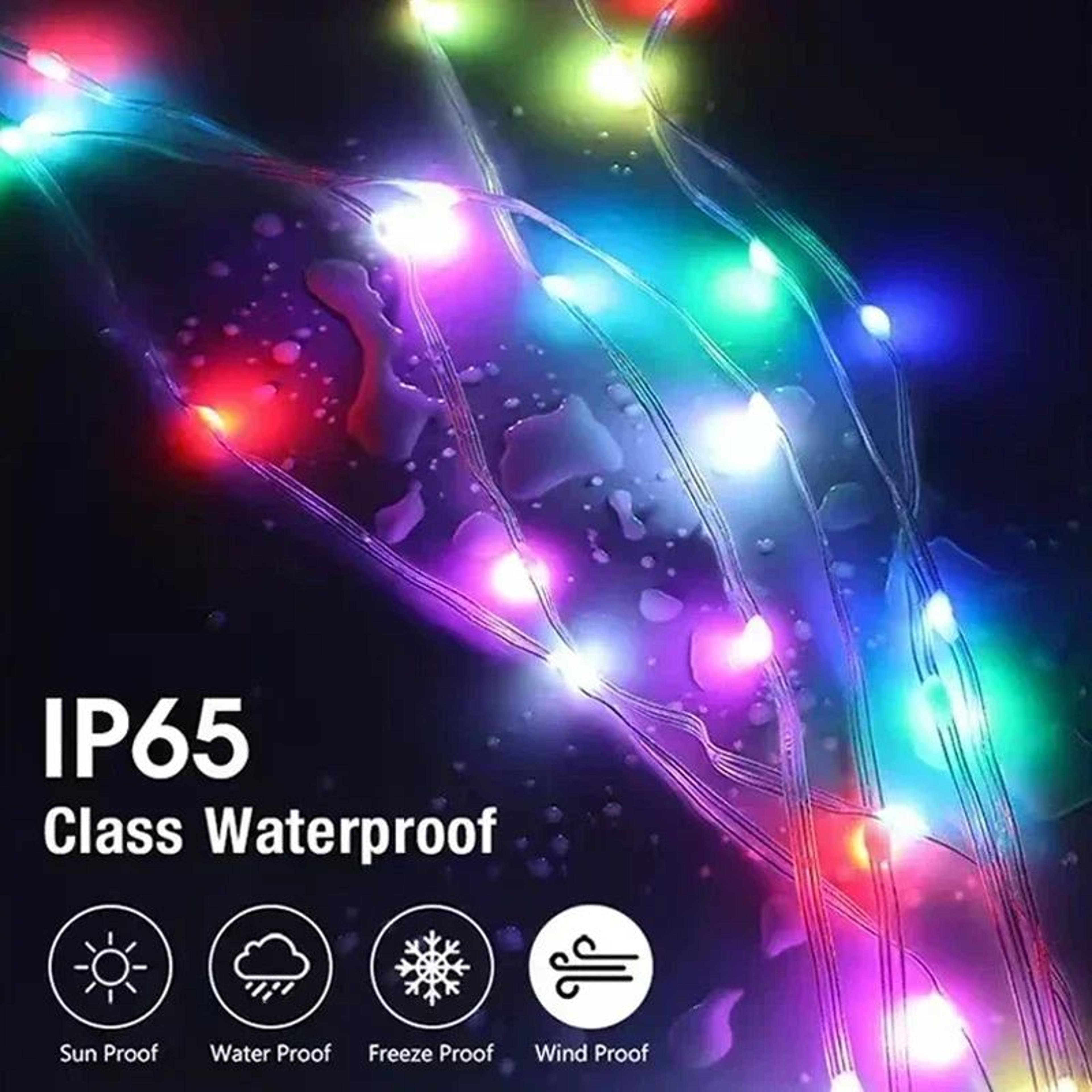Smart RGBIC LED String Lights  Waterproof Bluetooth App Controlled Fairy Lights With Music Sync For 4