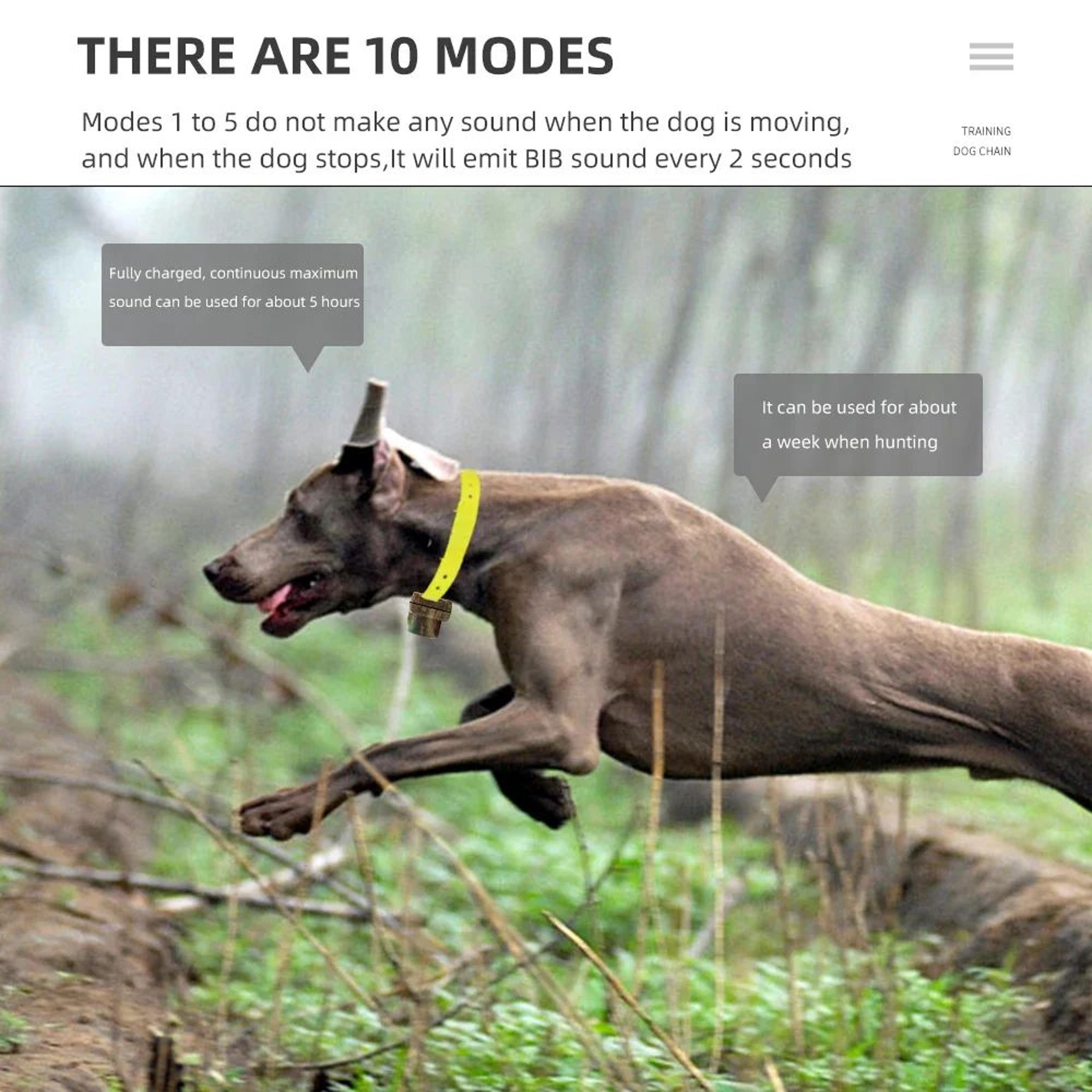 Rechargeable Dog Hunting Beeper Collar  Waterproof 10Mode Locator Training Collar With Adjustable S 5