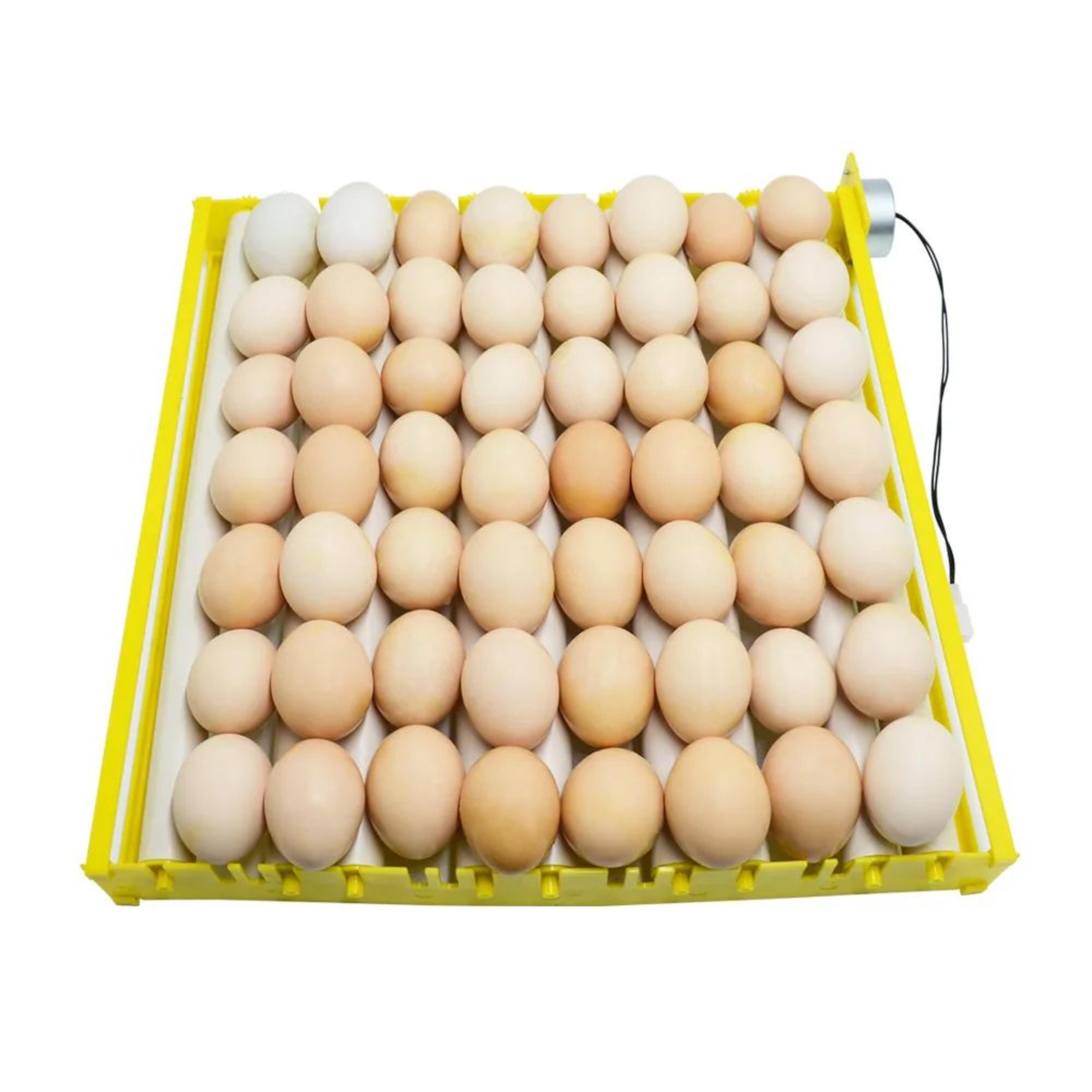 360 Automatic Egg Turner  Rotary Incubator Roller Tray For Chicken Duck Quail Goose Pigeon Eggs 220 1