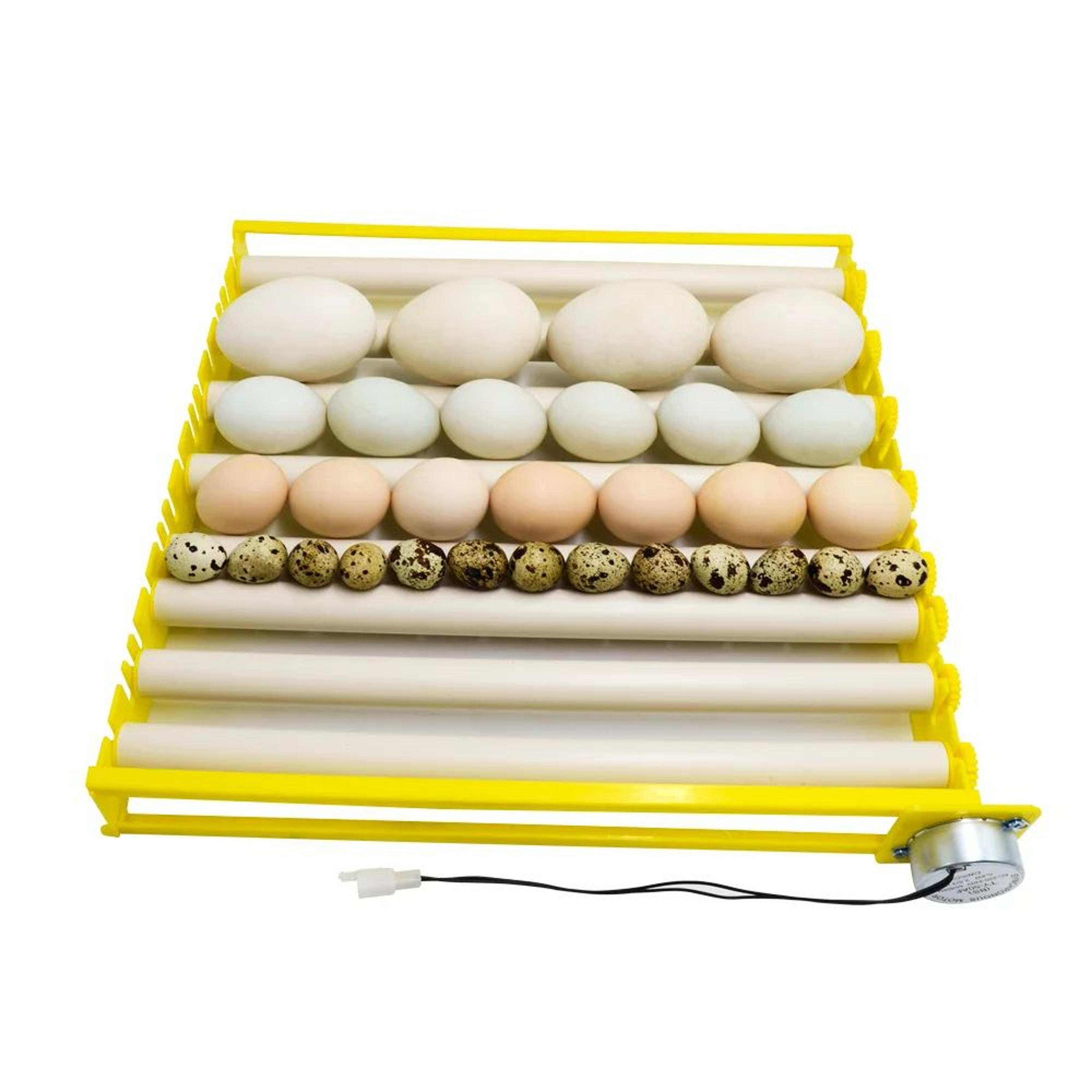 360 Automatic Egg Turner  Rotary Incubator Roller Tray For Chicken Duck Quail Goose Pigeon Eggs 220 2