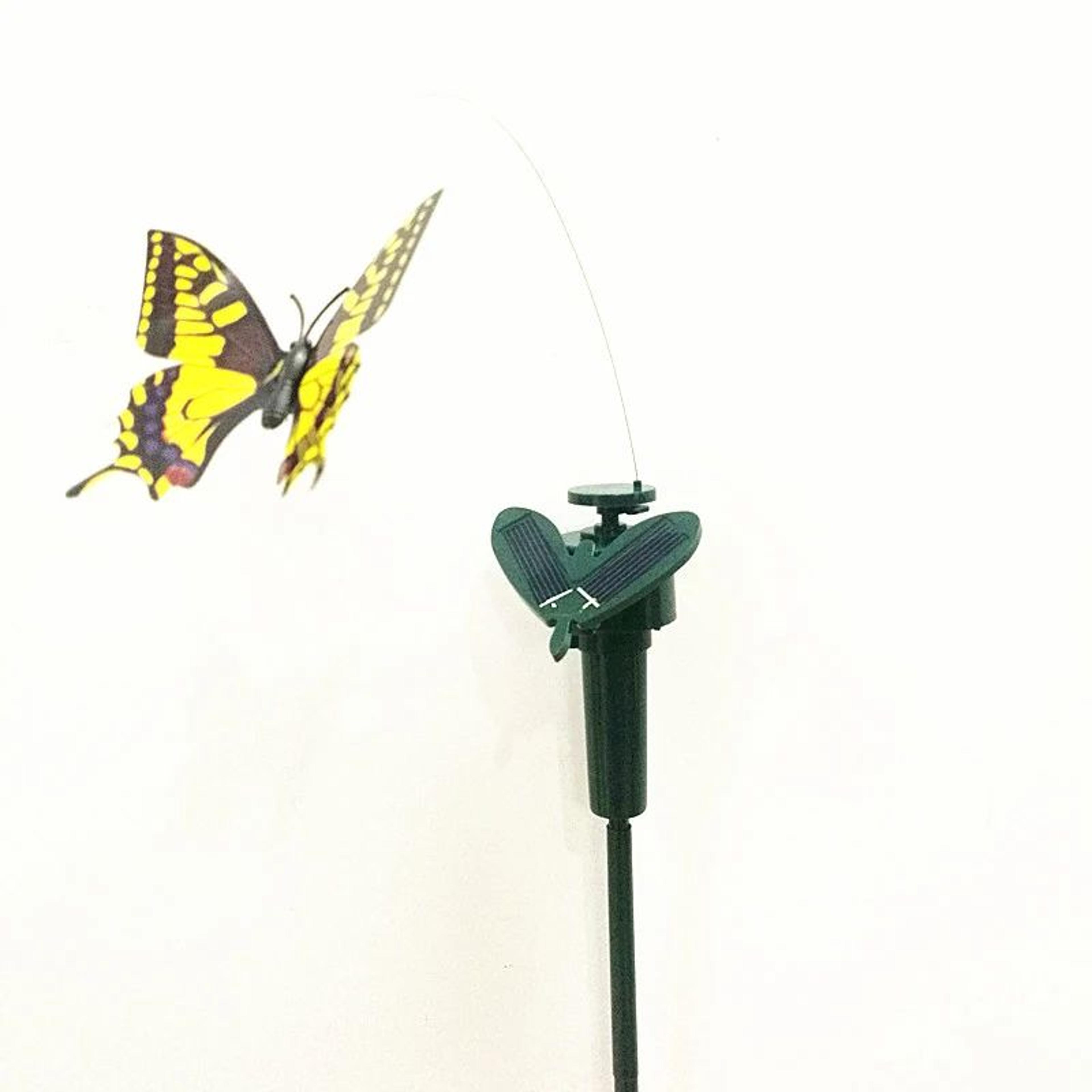 Solar Dancing Butterfly  Hummingbird Garden Stake  Fluttering Flower Decor For Potted Plants Patio  3