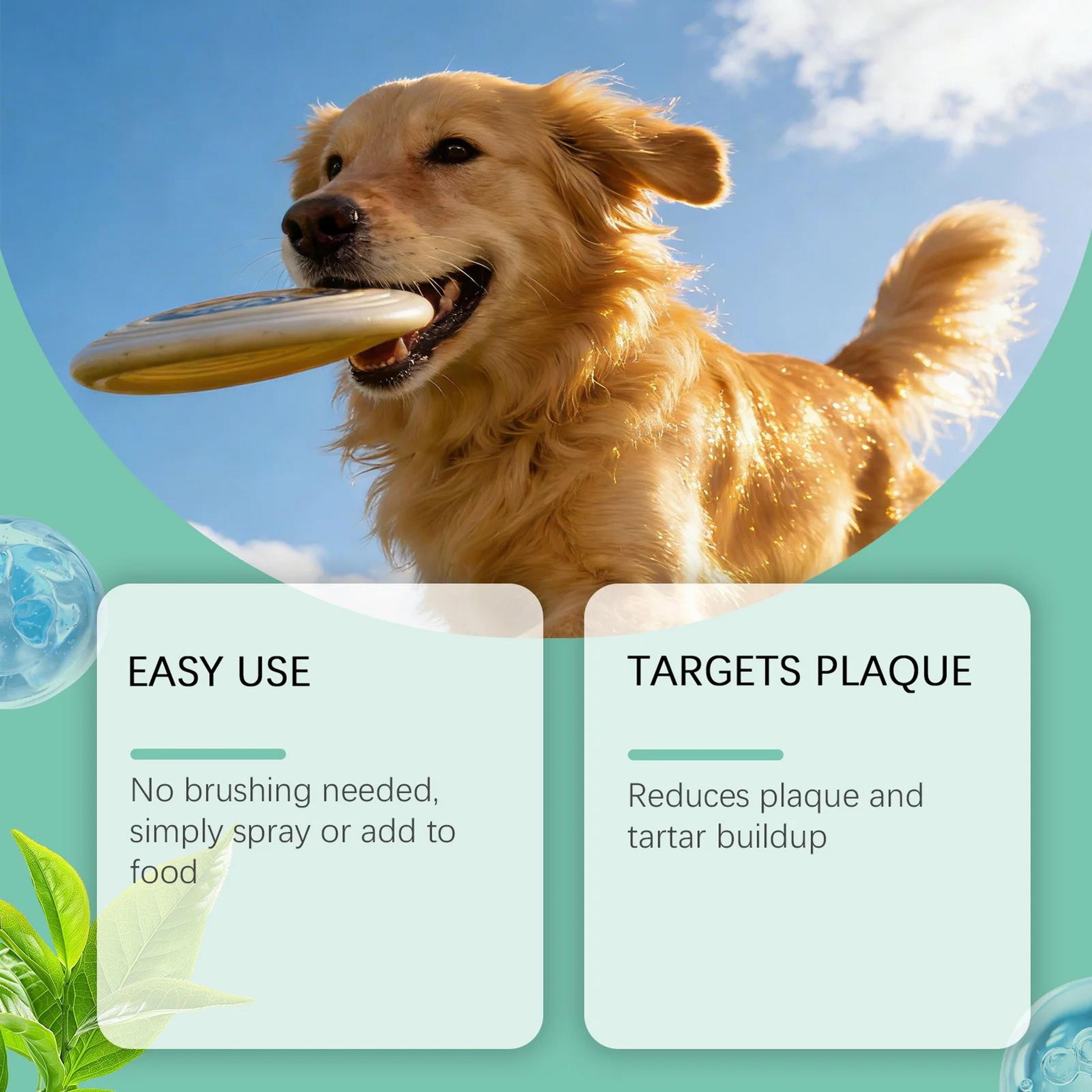 Pet Oral Care Spray  338 Fl Oz Plaque Control Teeth  Gum Cleaner For Cats  Dogs With Fresh Breath F 2