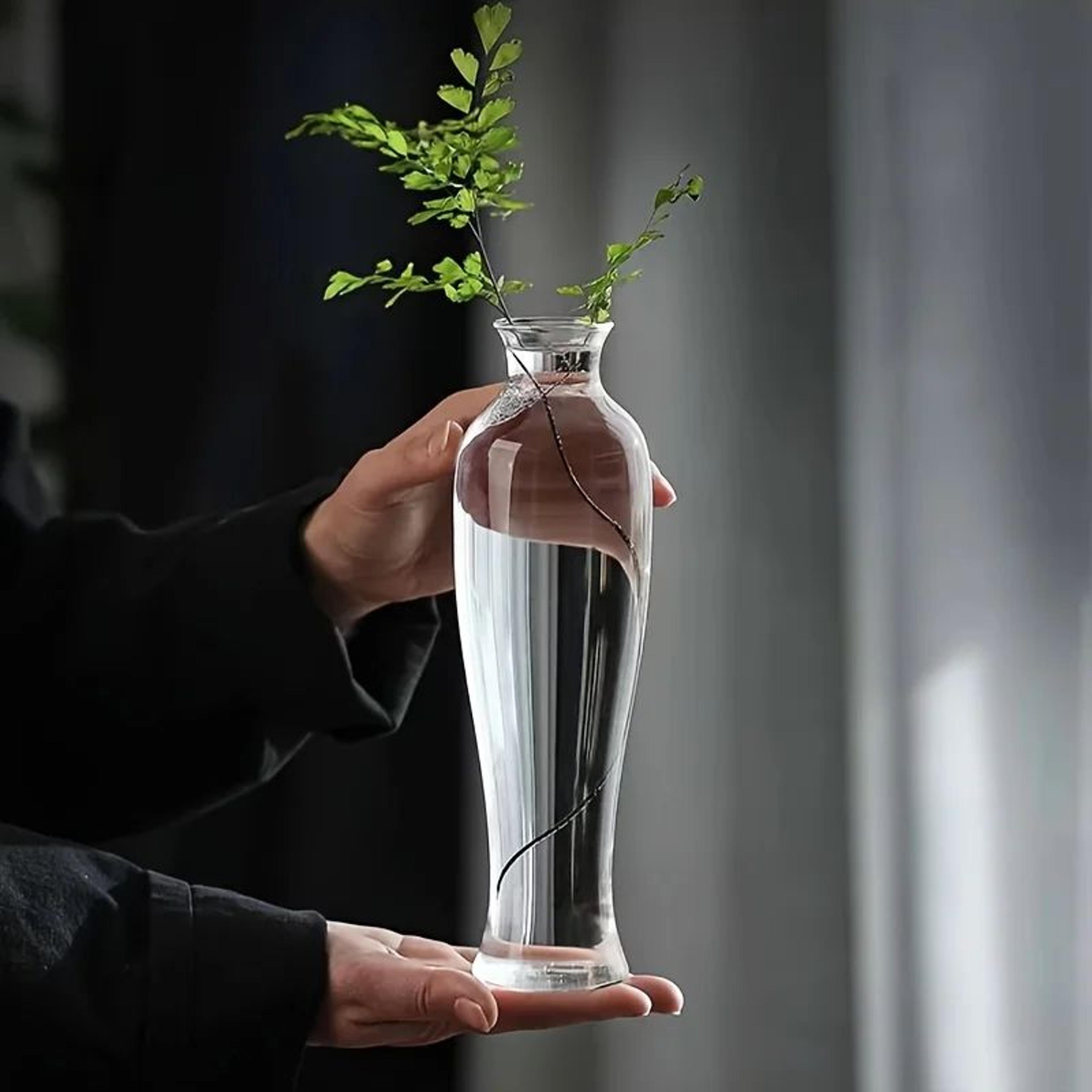 Glass Bud Vase  Clear Cylinder Vase For Simple SingleStem Flowers OneBranch Ikebana And Serene Tabl 5