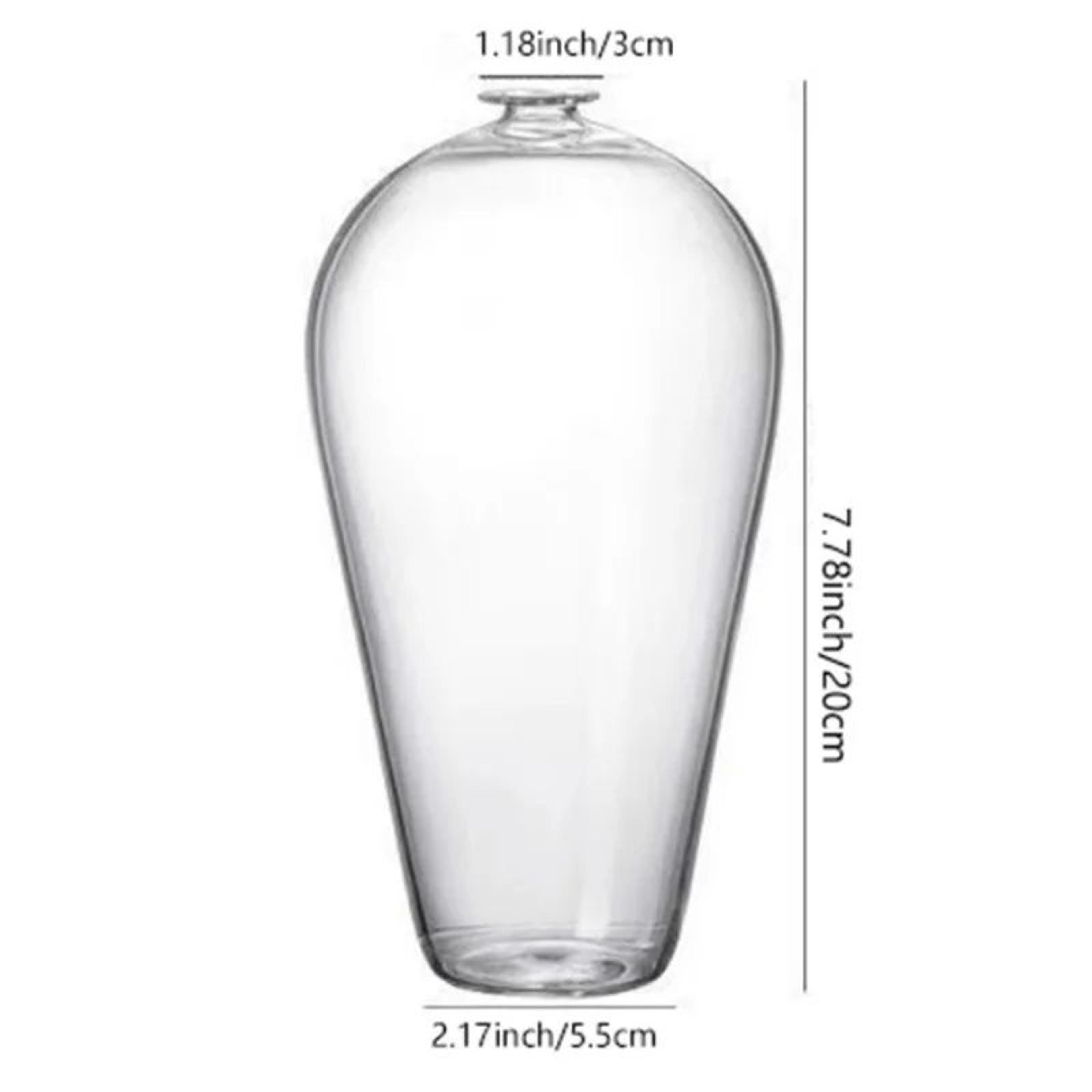 Glass Bud Vase  Clear Cylinder Vase For Simple SingleStem Flowers OneBranch Ikebana And Serene Tabl 8