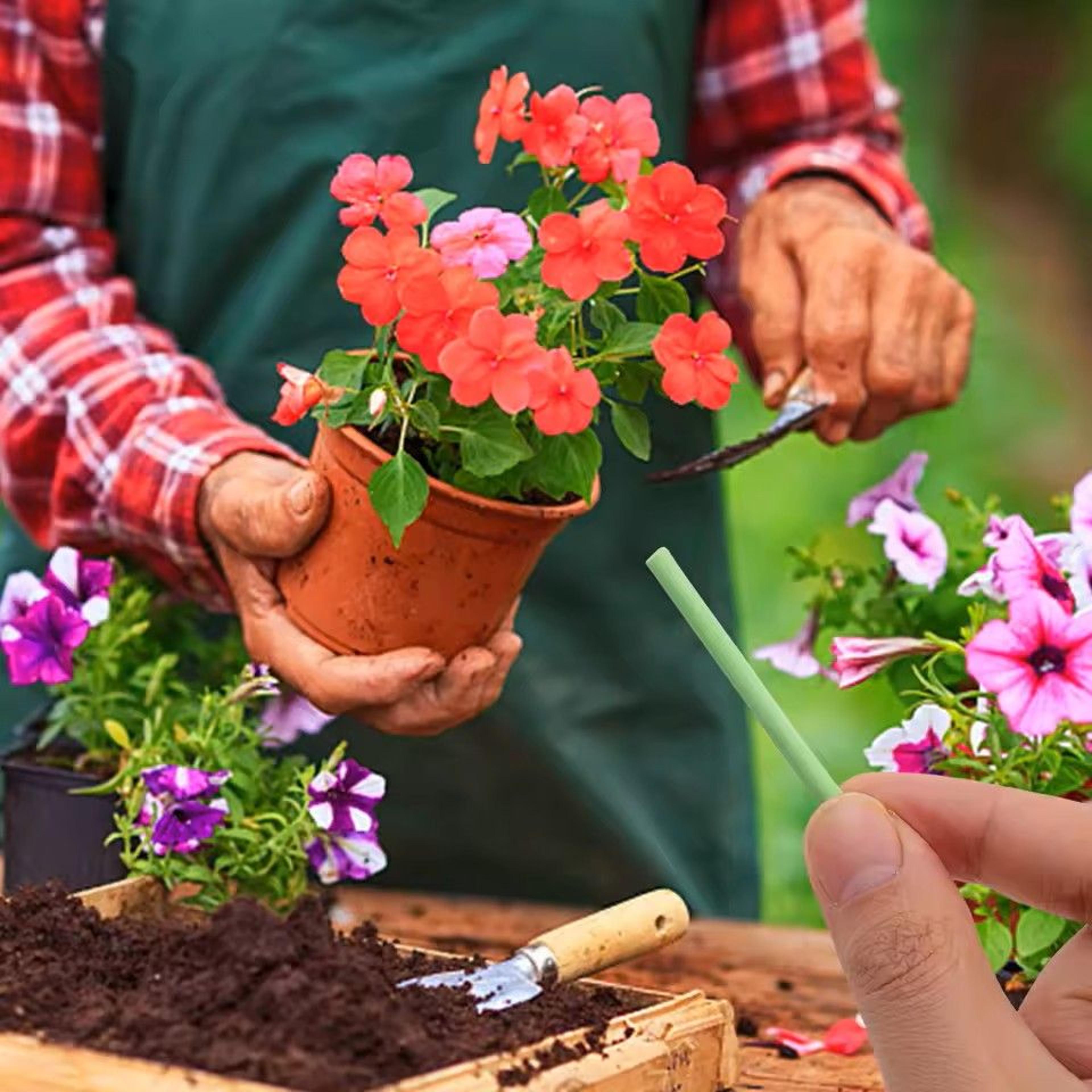 Plant Slow Release Nutrient Sticks For Indoor Potted Plants 5