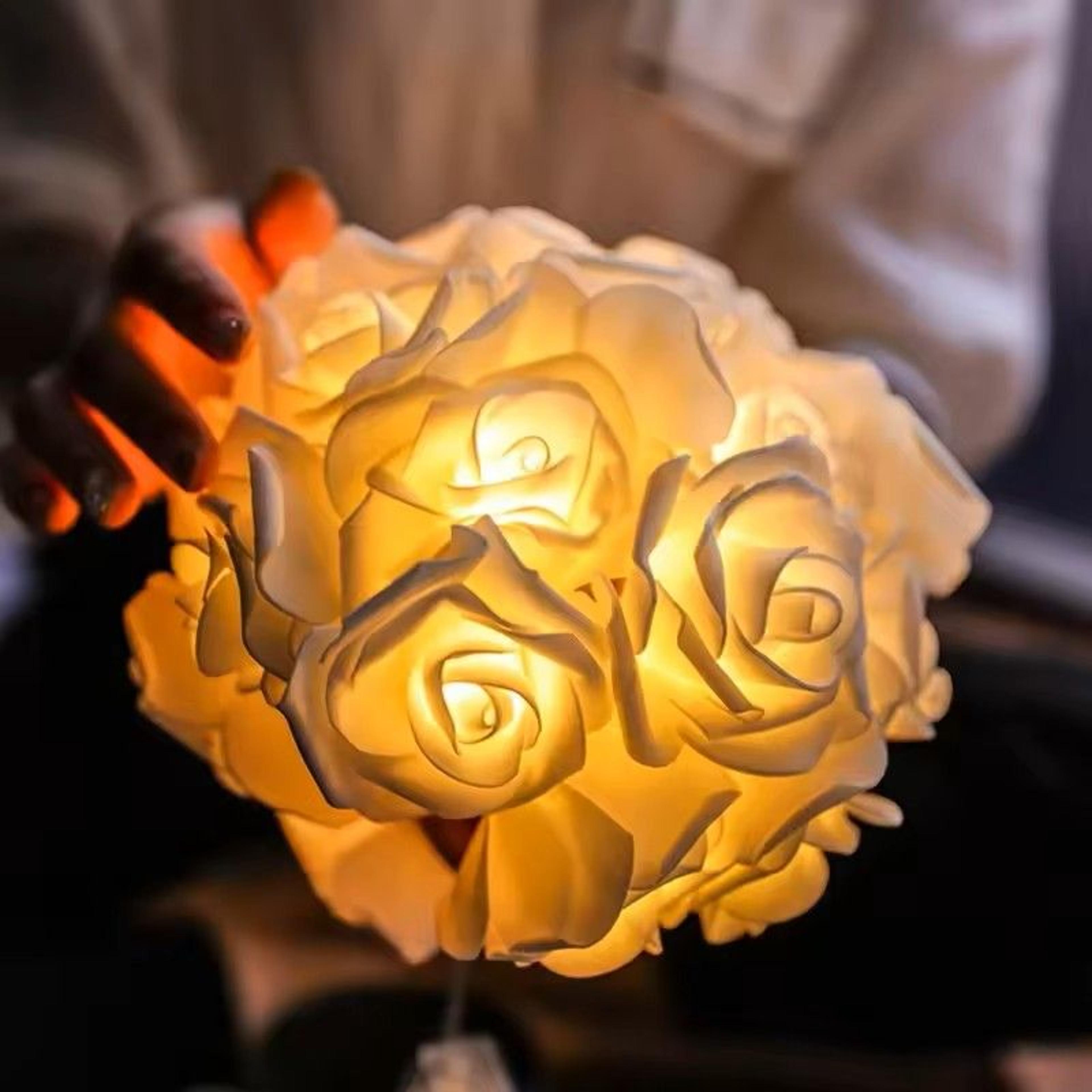 White Rose Flower String Lights 2