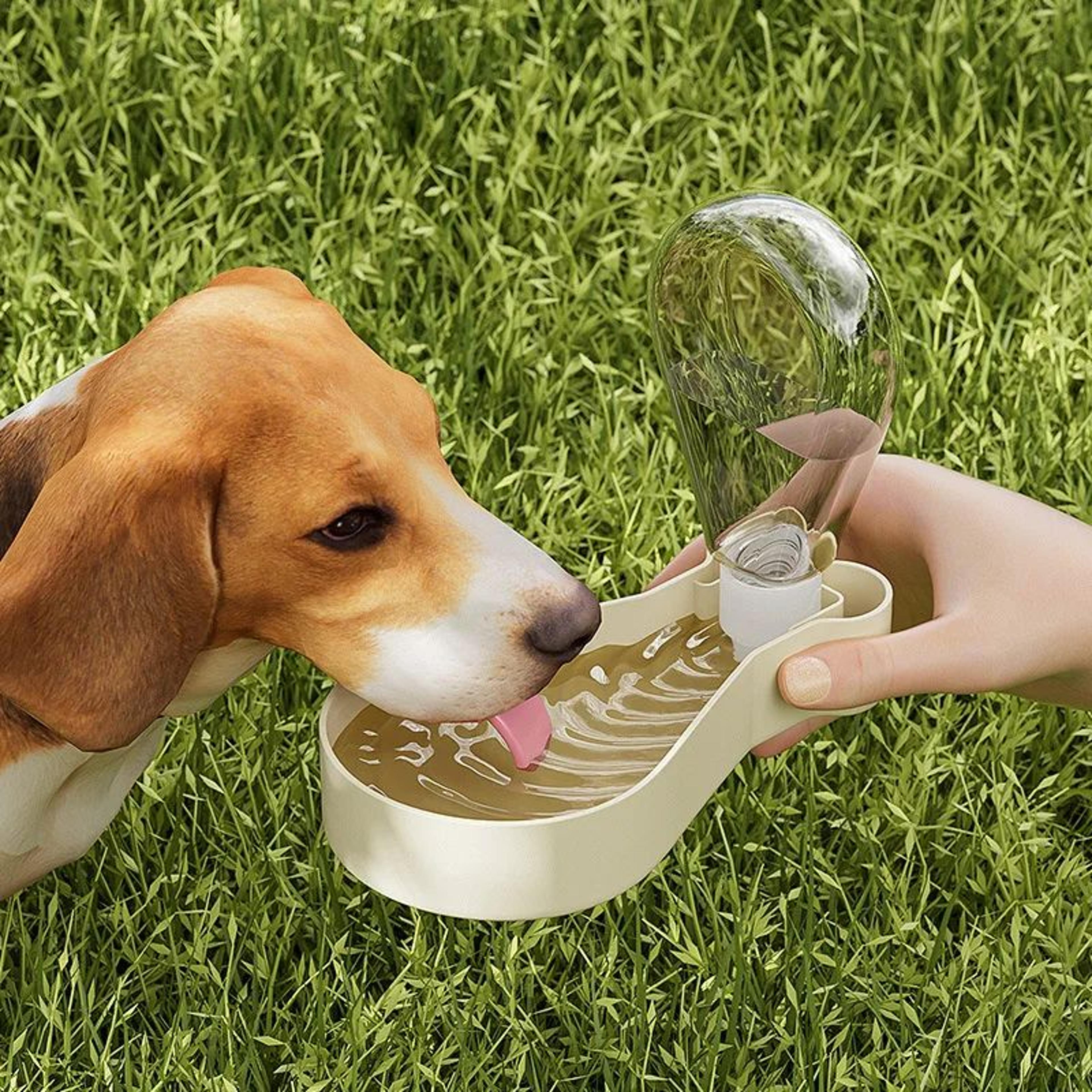 2in1 Portable Dog Water Bottle  Food Container  Large Capacity Travel Cup 9