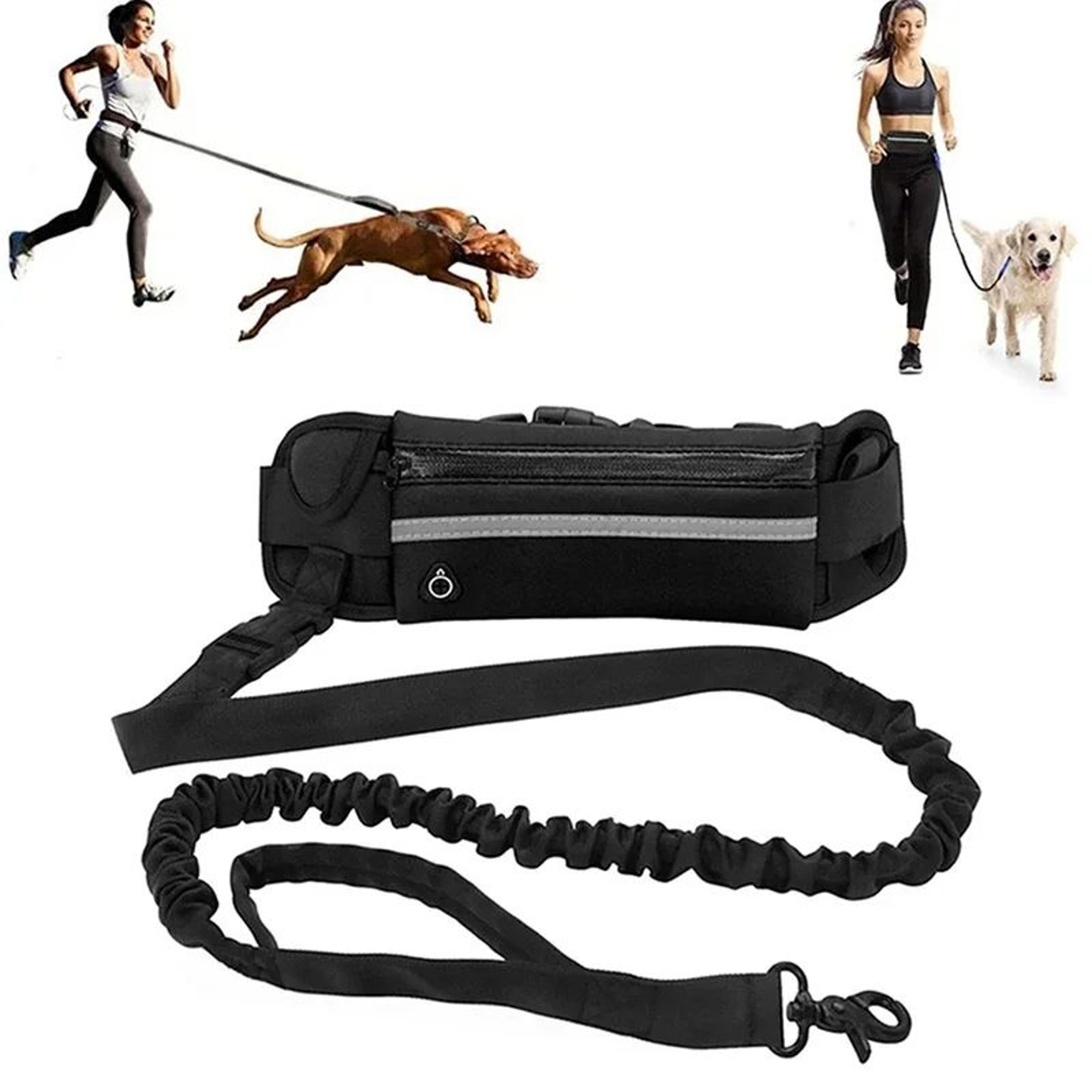 hands free dog leash for running and walking with reflective waist bag and elastic belt
