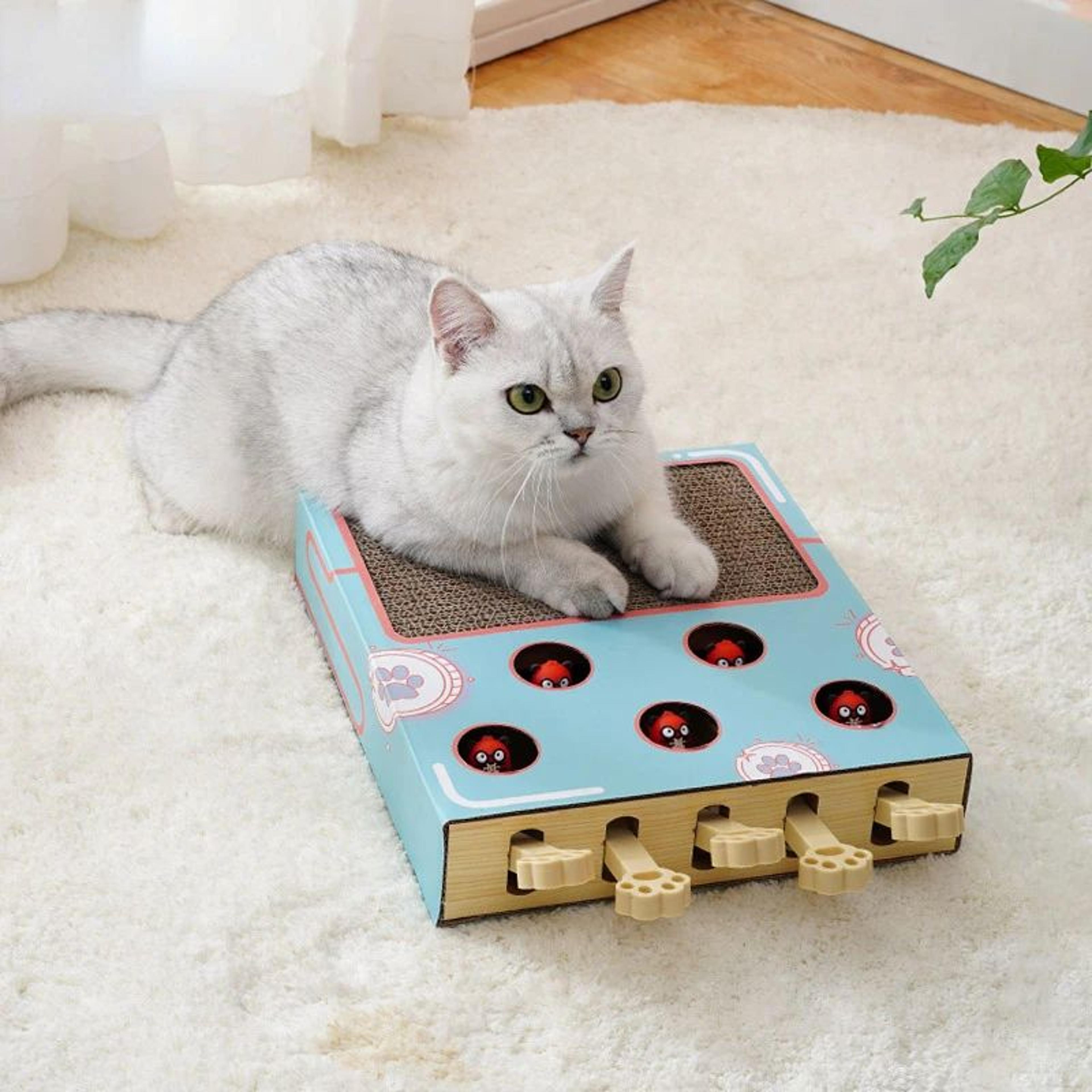 Whack A Mole Cat Toy Interactive Scratching Board And Claw Grinding Play Box 1