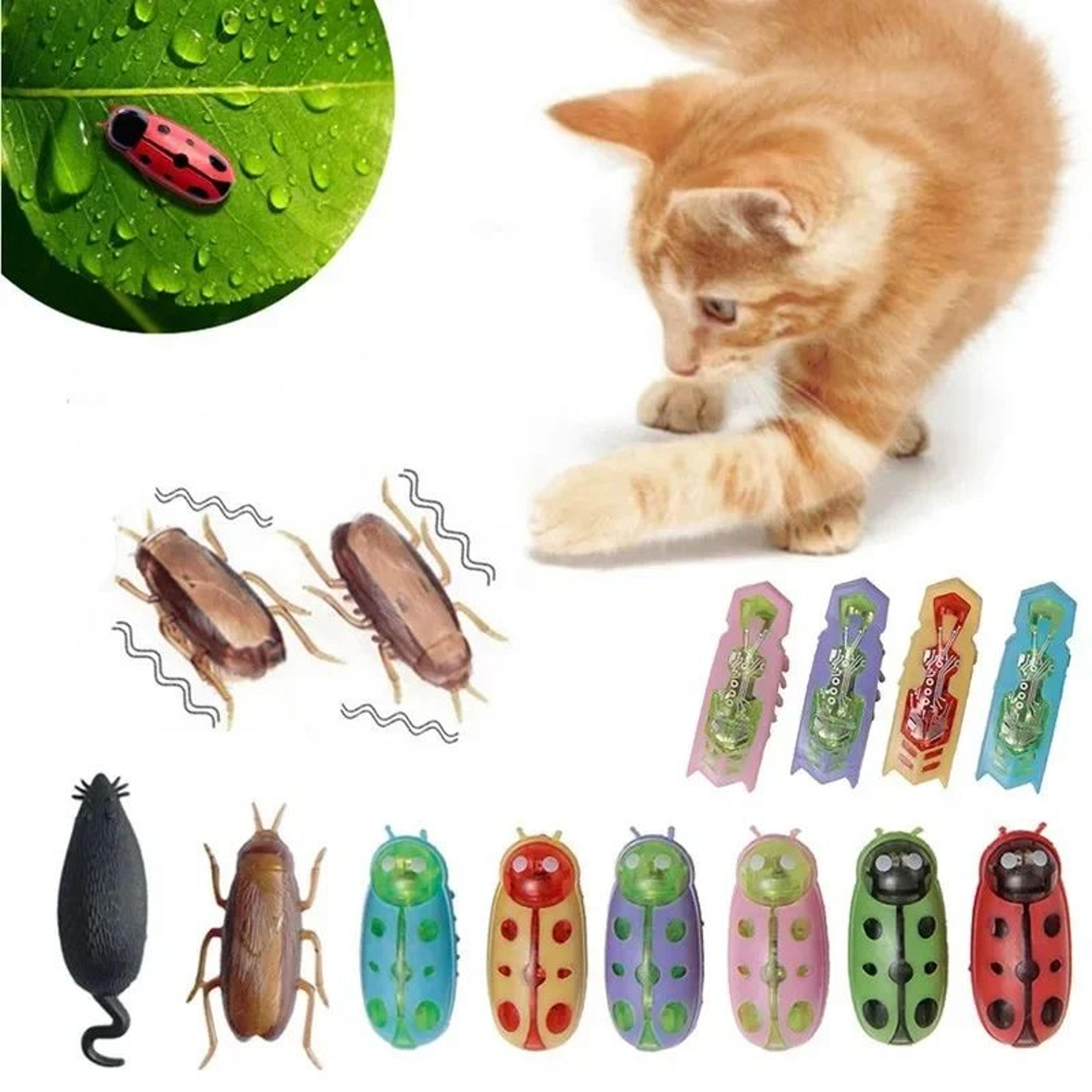 Electric Bug Cat Toy Automatic Mini Robot Insect With Catnip For Cats 0