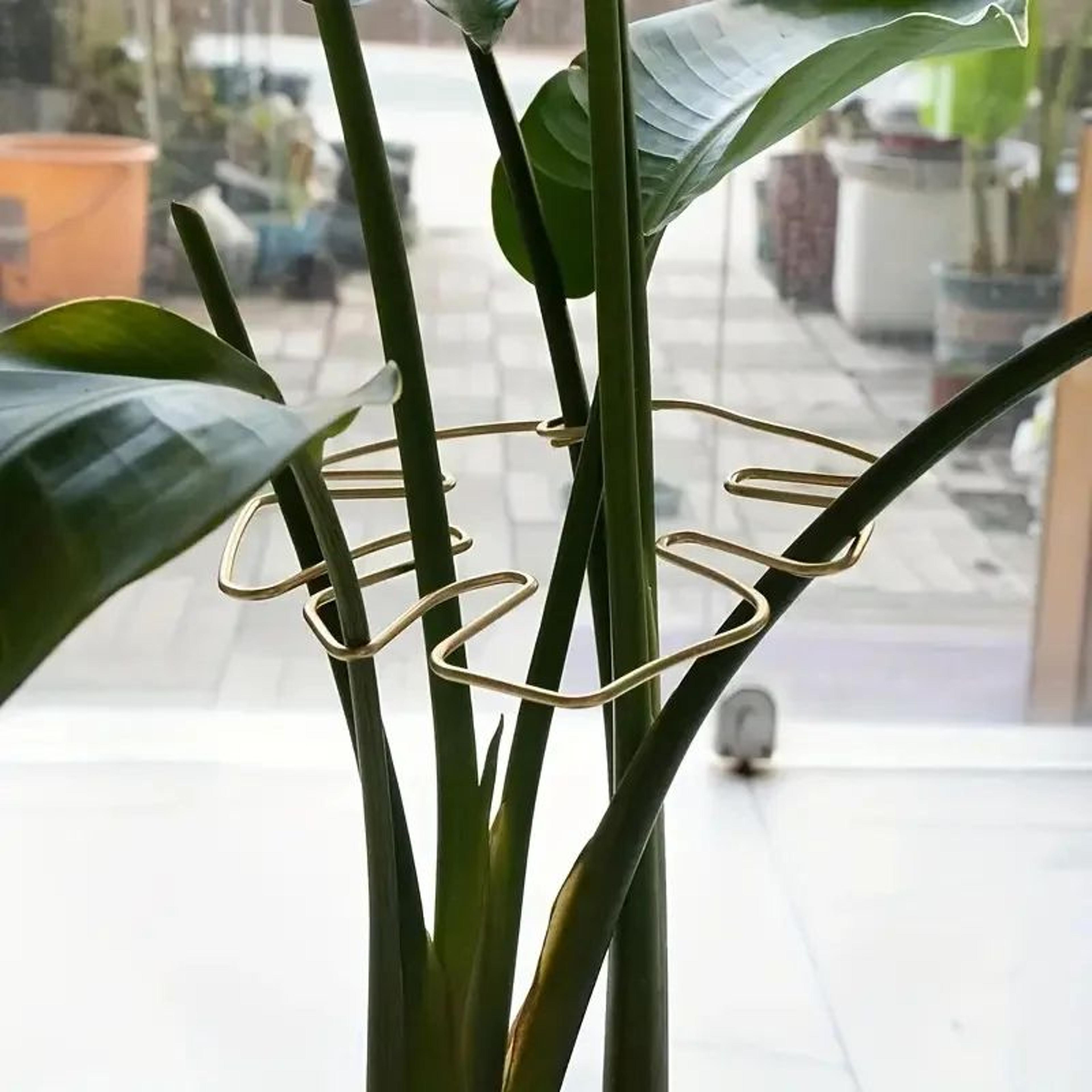 large hanging plant stand with iron hook