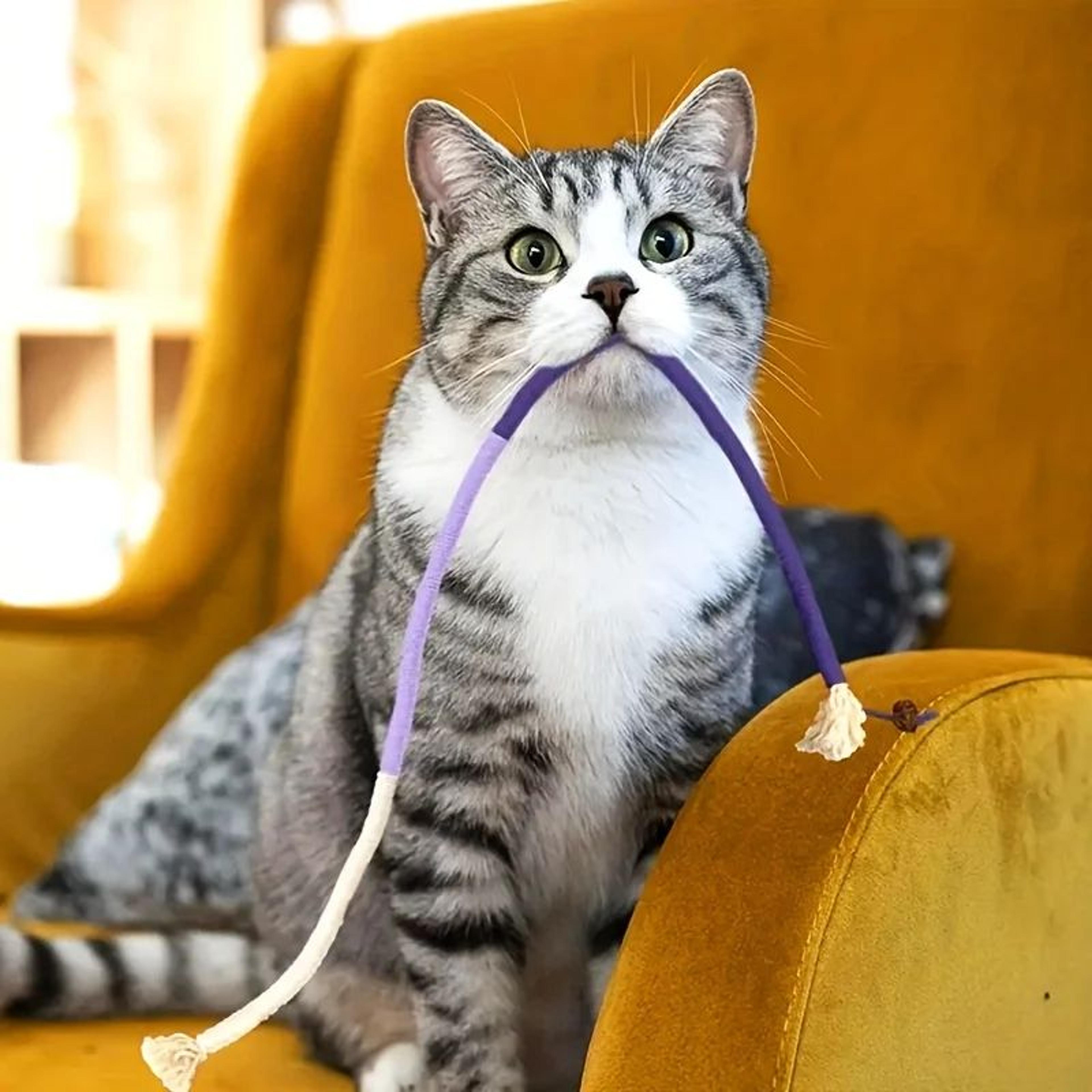 Durable Cat Teething Rope Toy 2