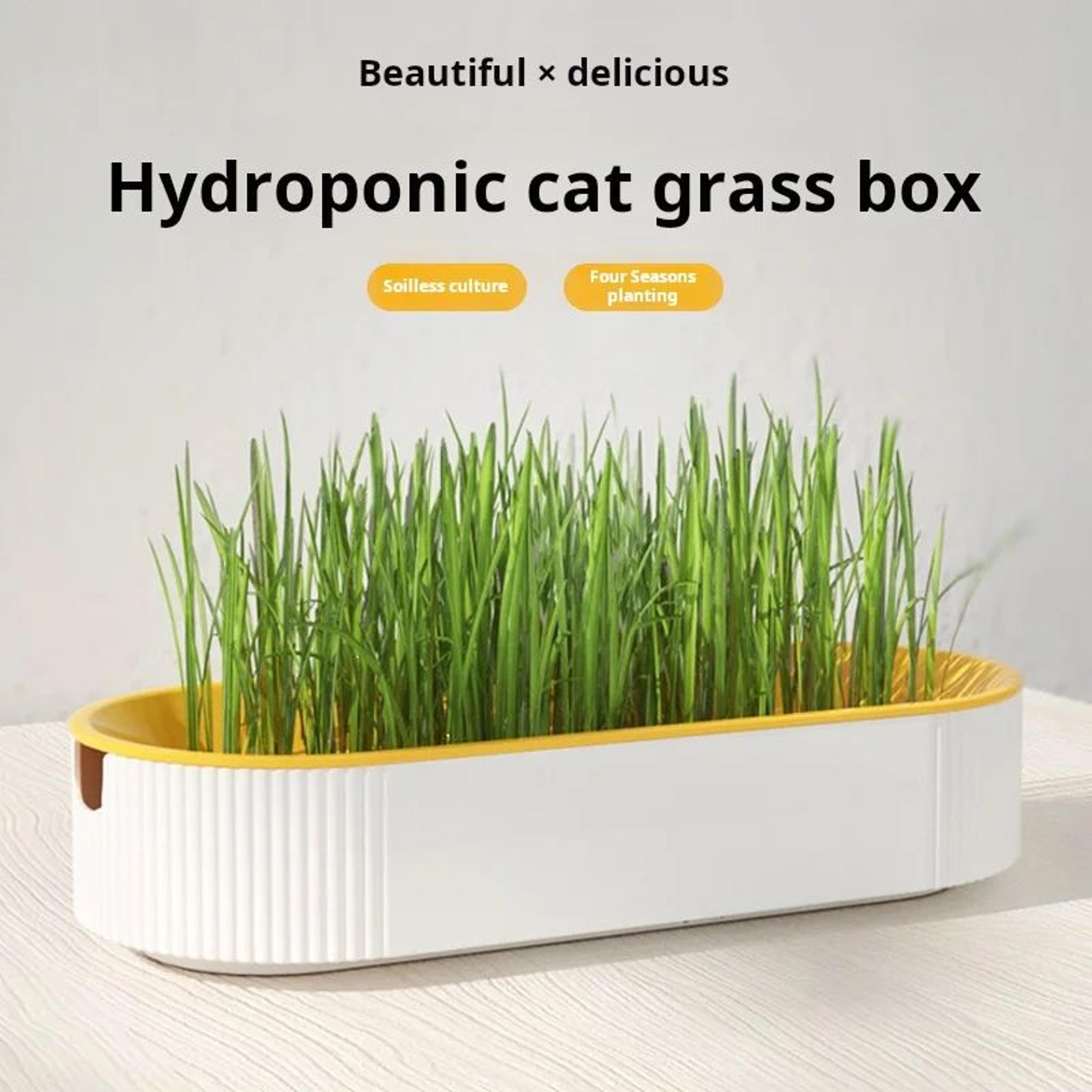 Hydroponic Cat Grass Growing Kit 0