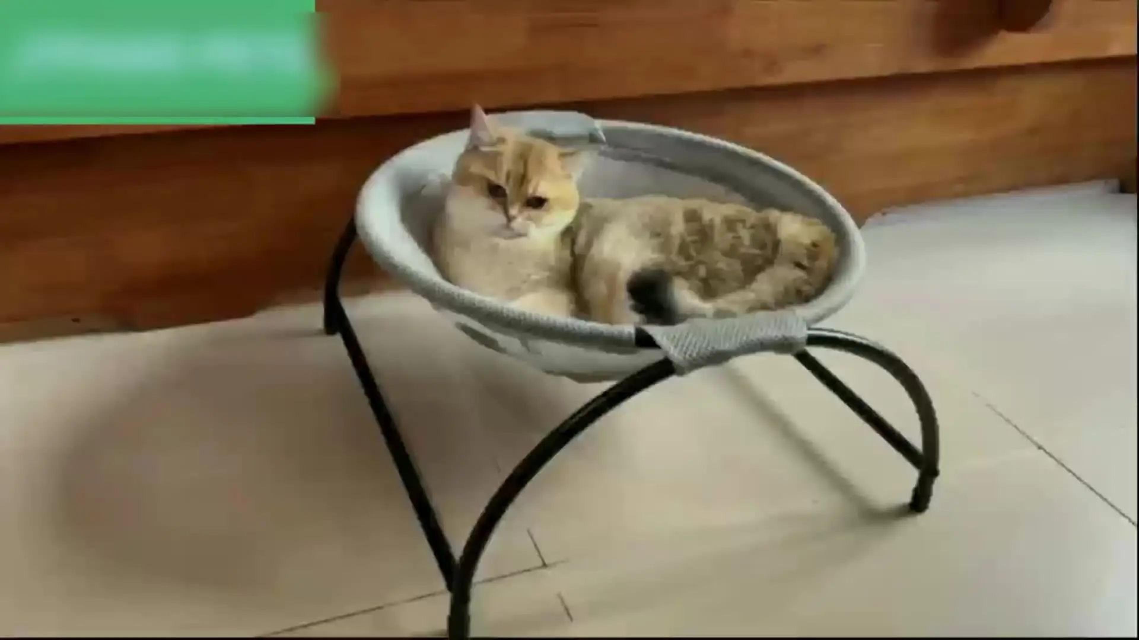 Breathable Cooling Cat Hammock Bed 16