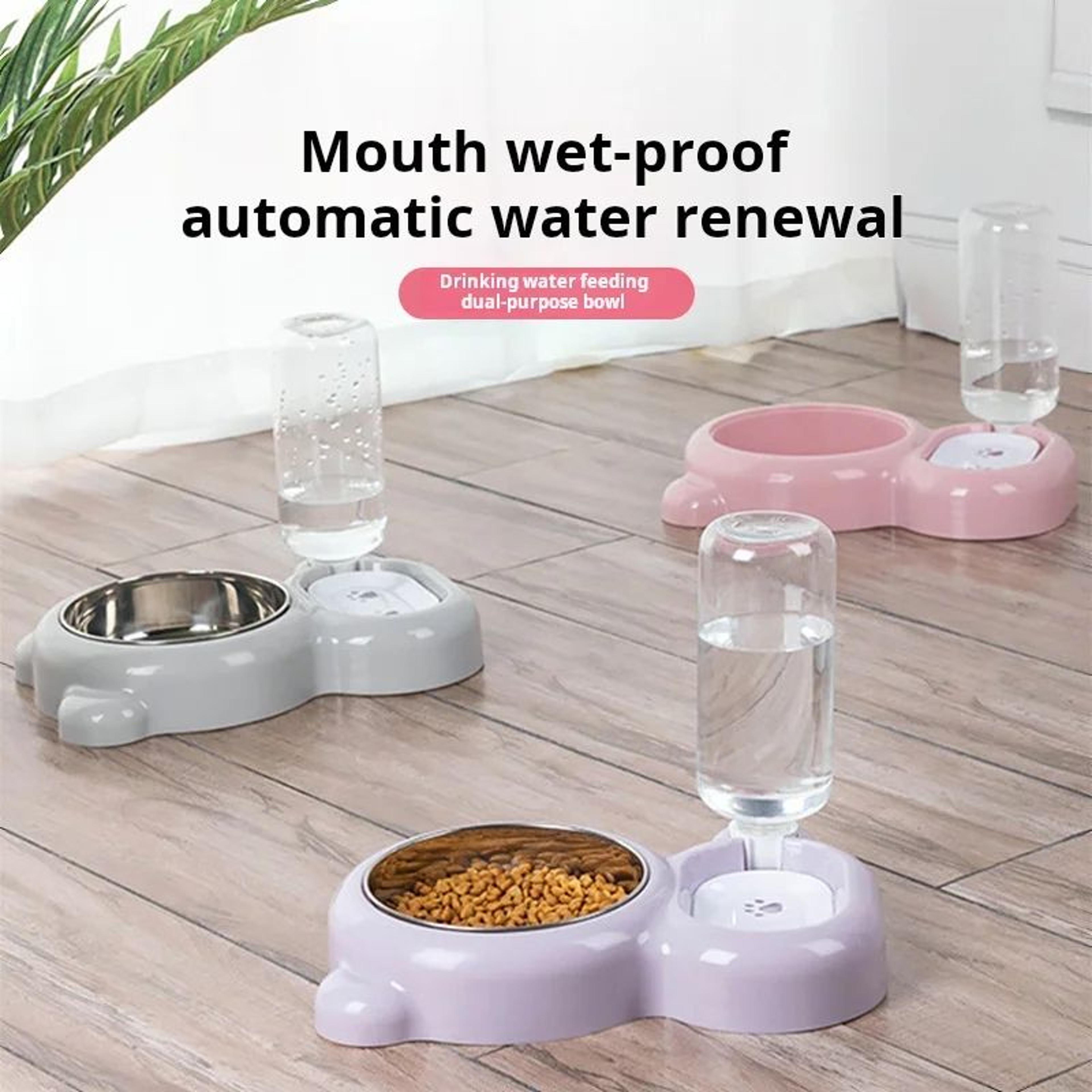 Double Cat Bowl With Automatic Water Bottle 6