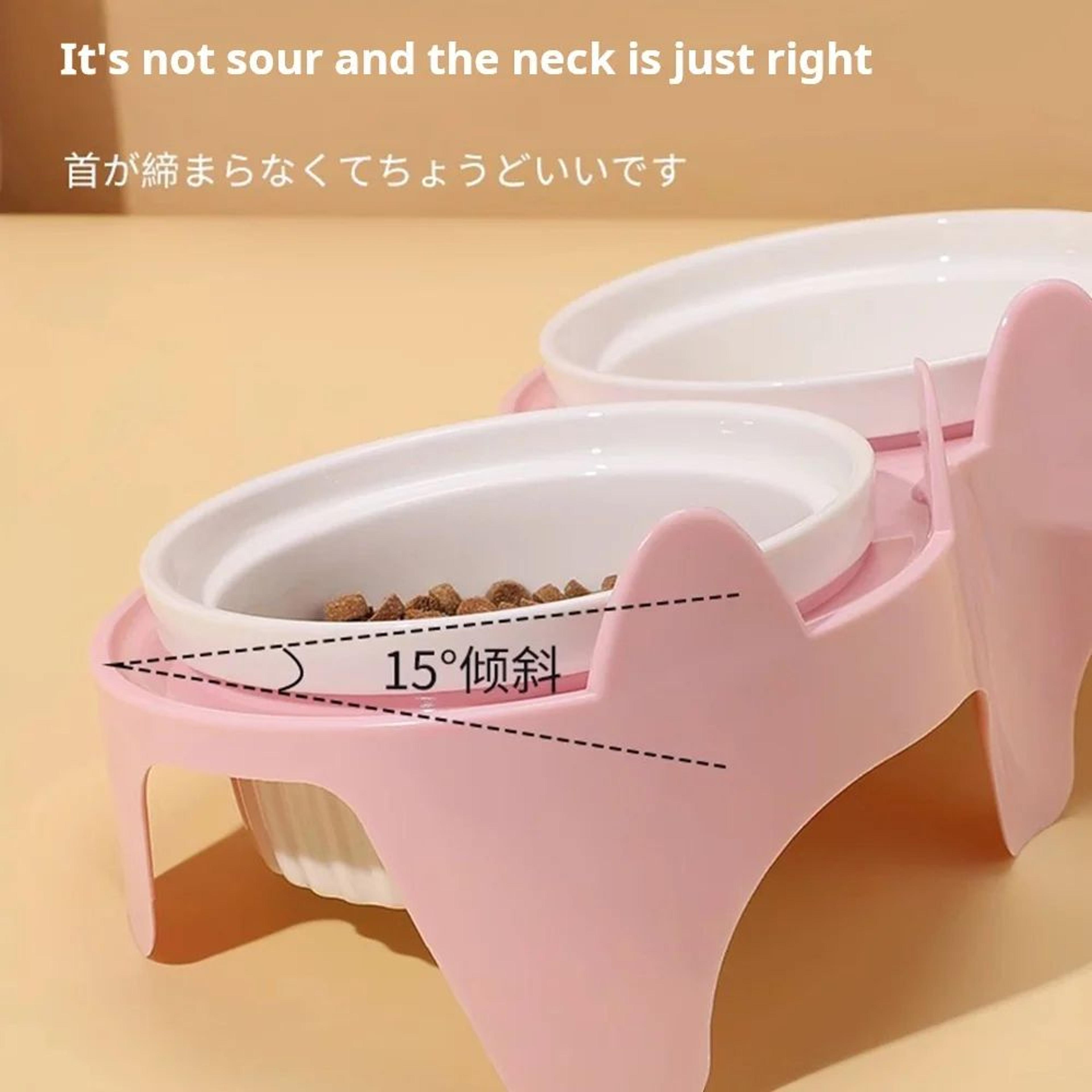 Ceramic Tilted Double Pet Bowl Set 1