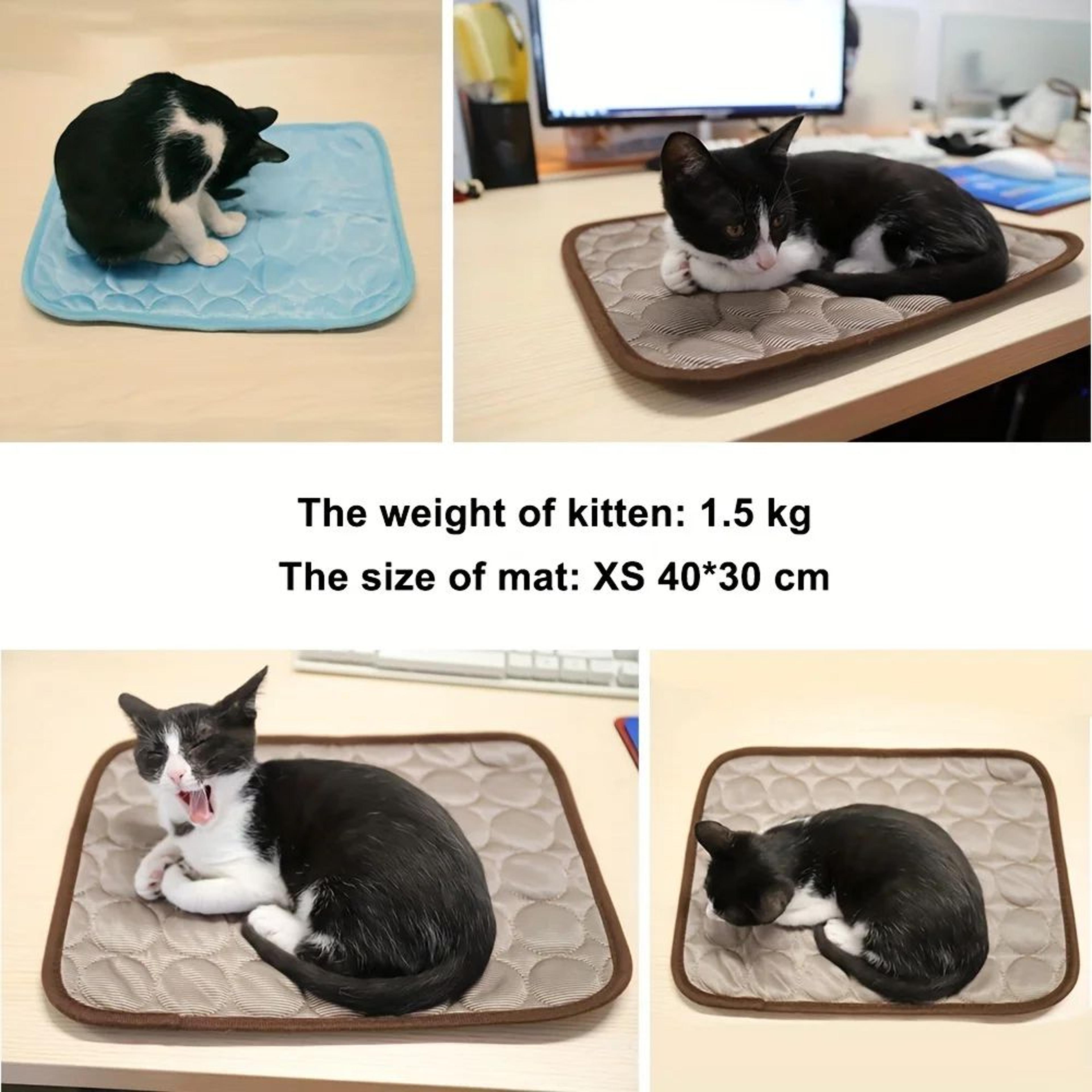 Breathable Self Cooling Pet Mat 5