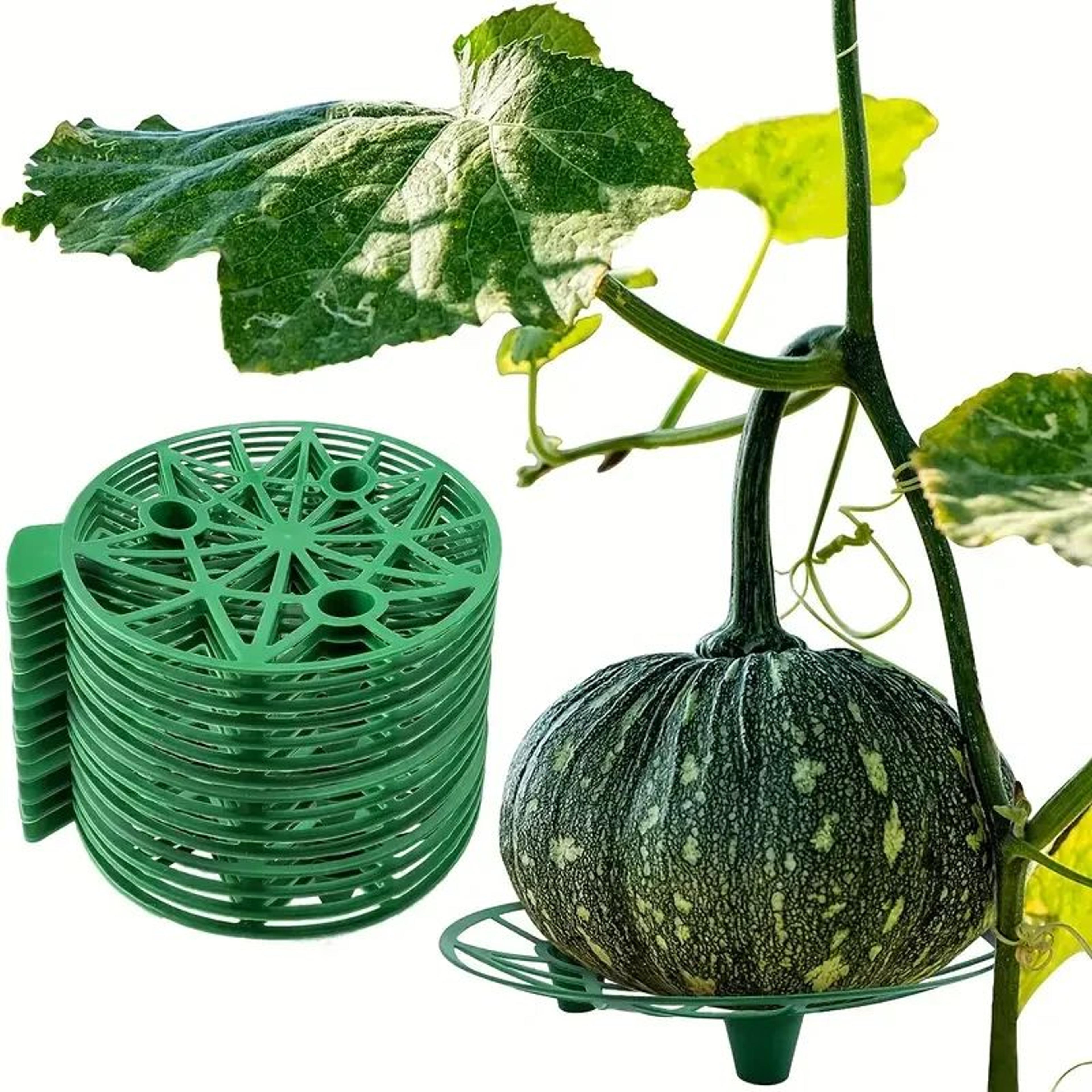 Garden Fruit Support Tray 11