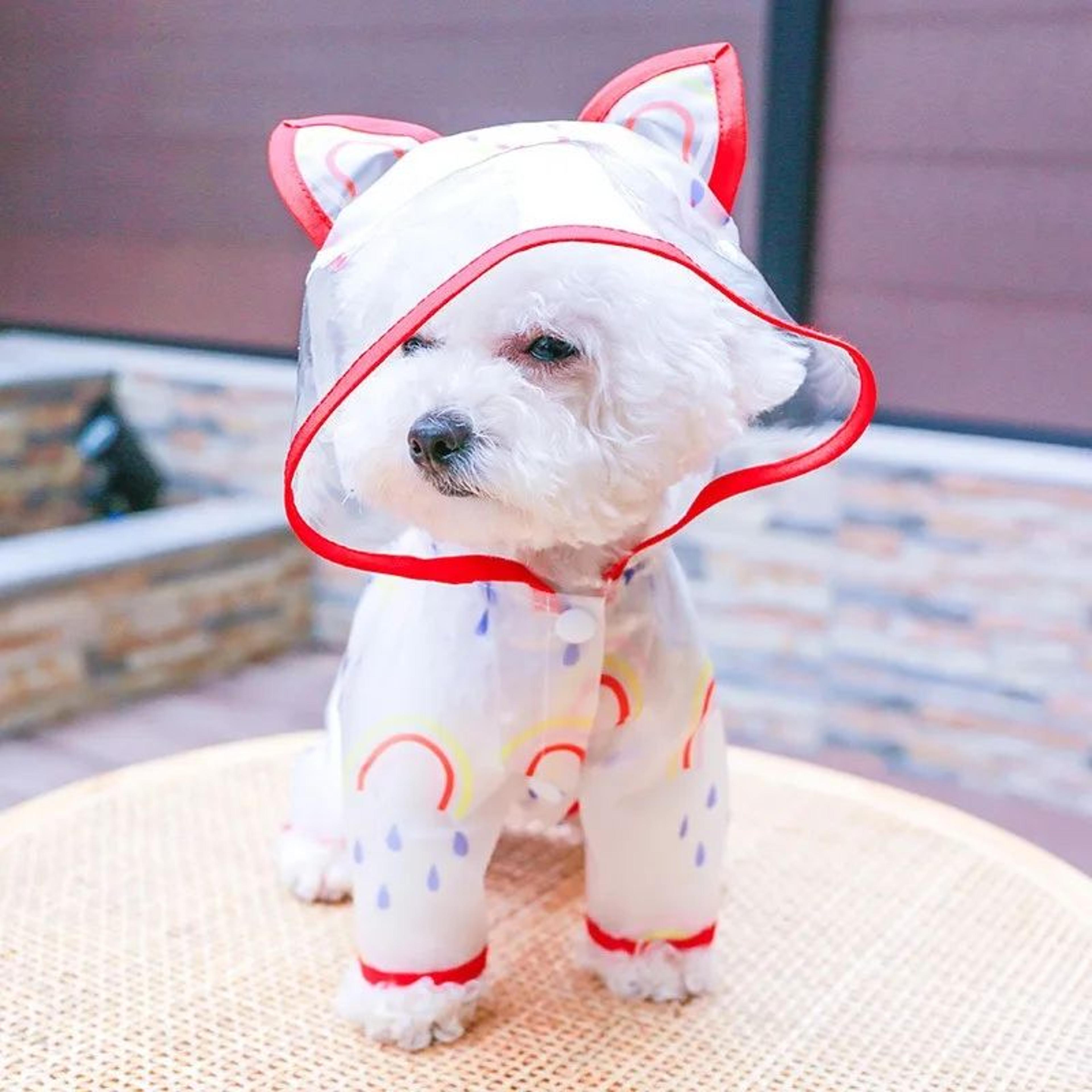 Waterproof Hooded Dog Raincoat 7