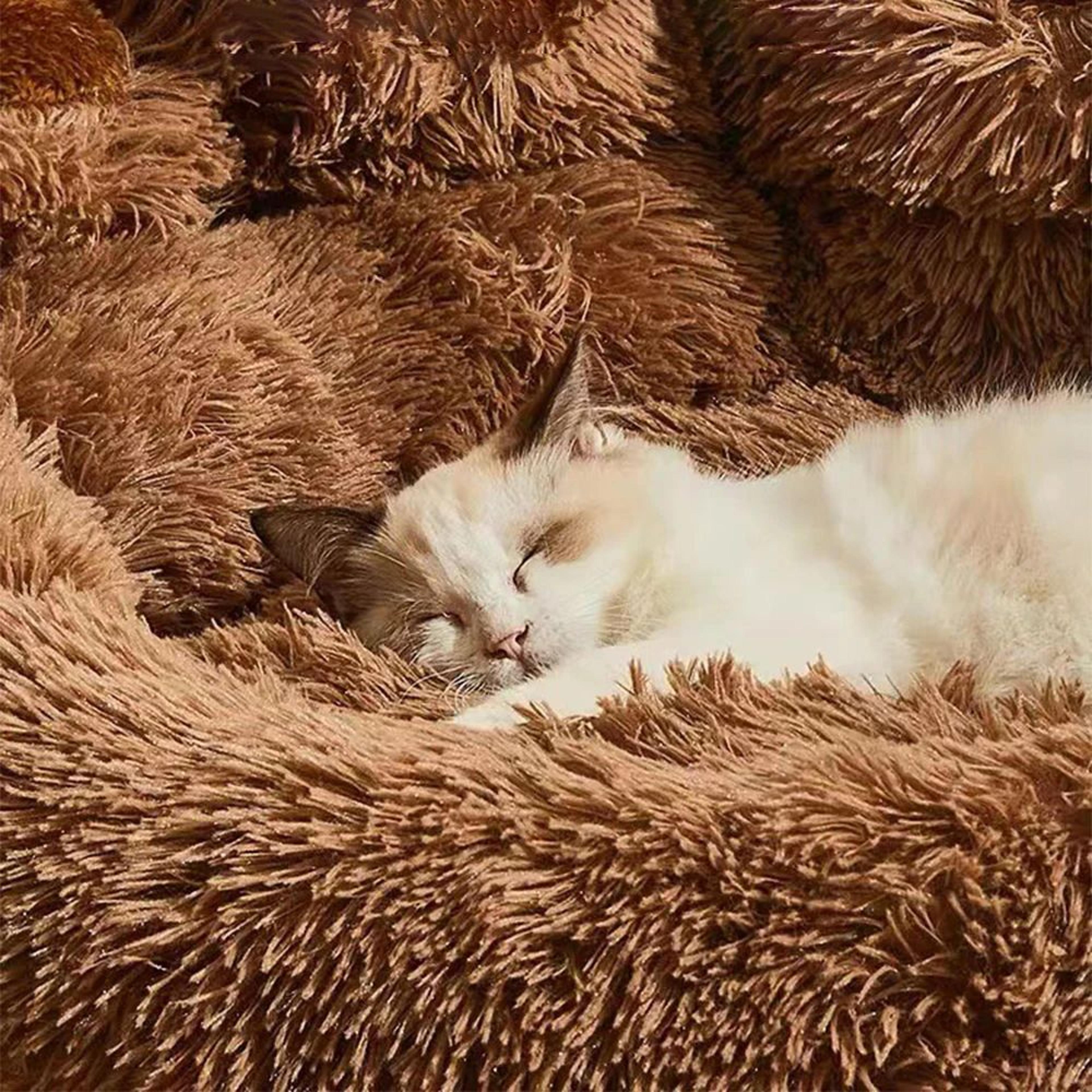 Winter Plush Pet Sofa Bed Mat 4