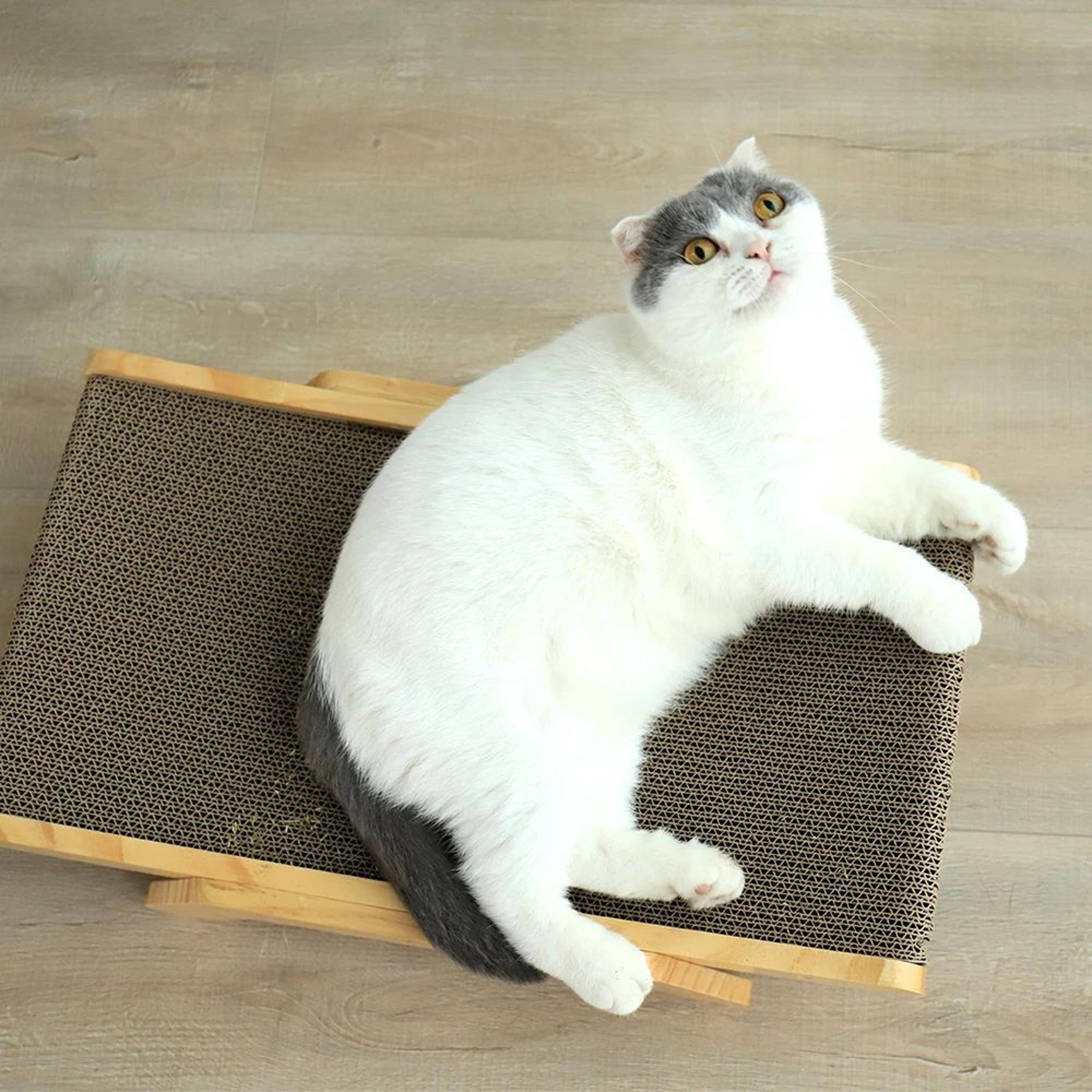 Wooden 3 In 1 Cat Scratcher Bed 13