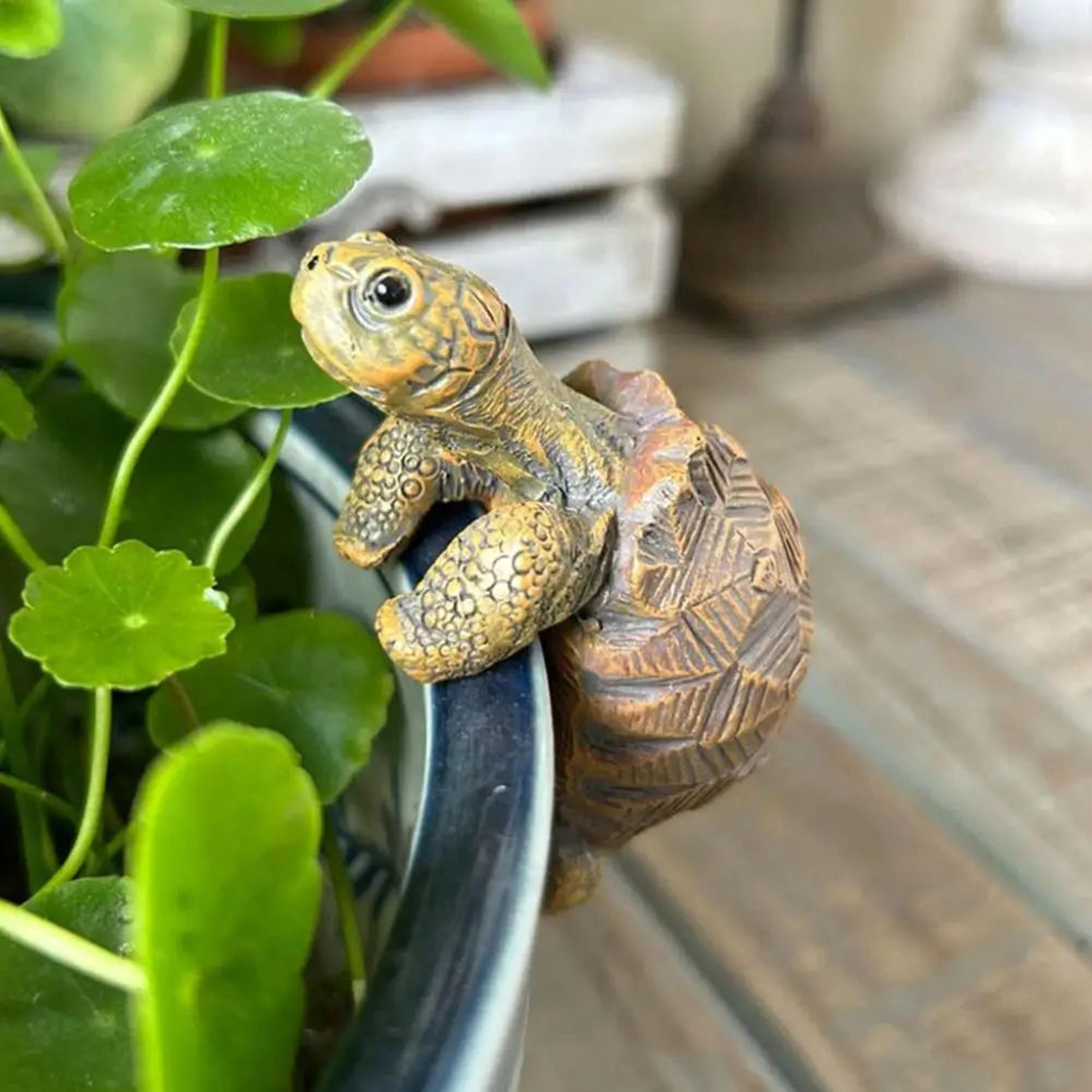 Cute Turtle Plant Pot Hanger 3