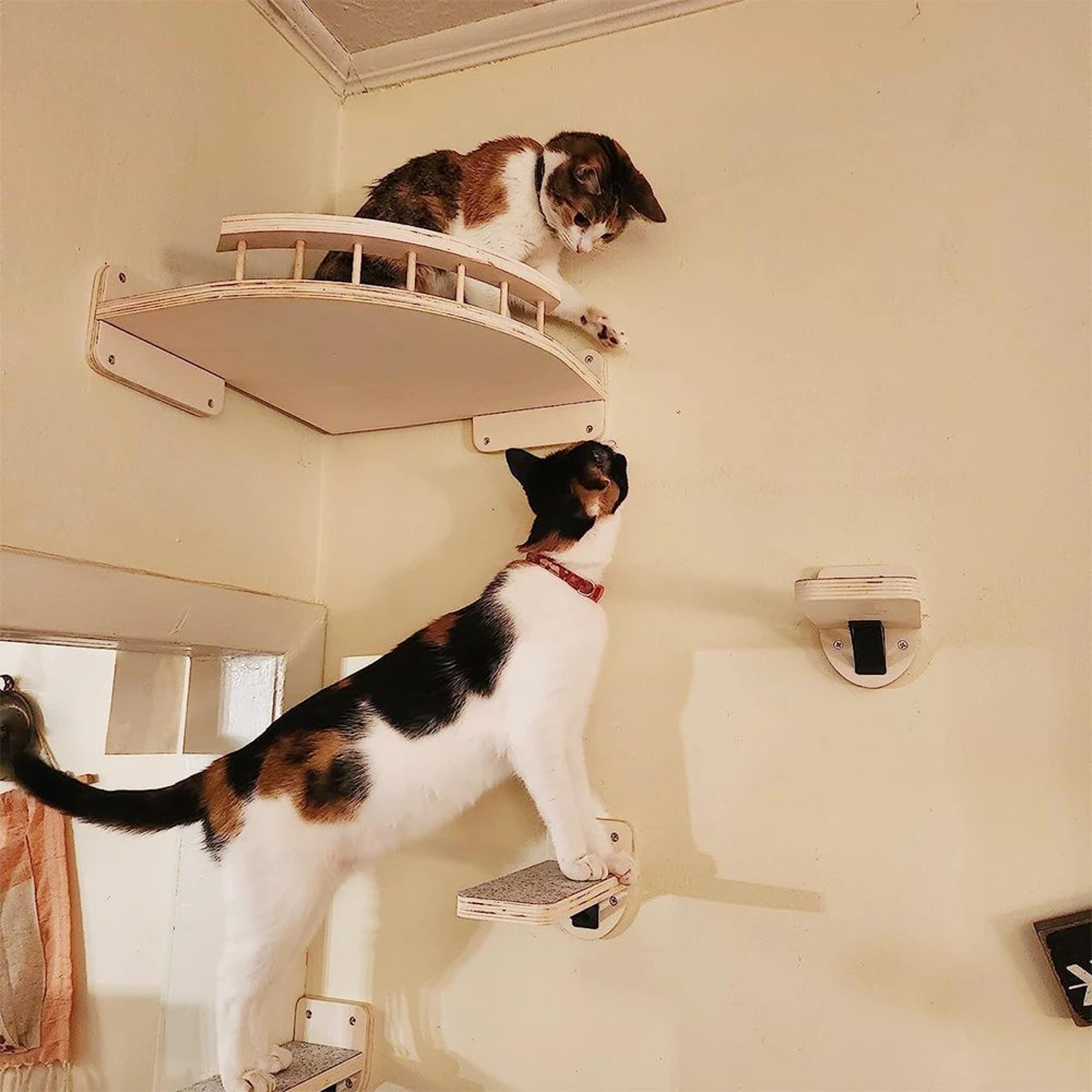 Wall Mounted Cat Climbing Shelf Stairs 4