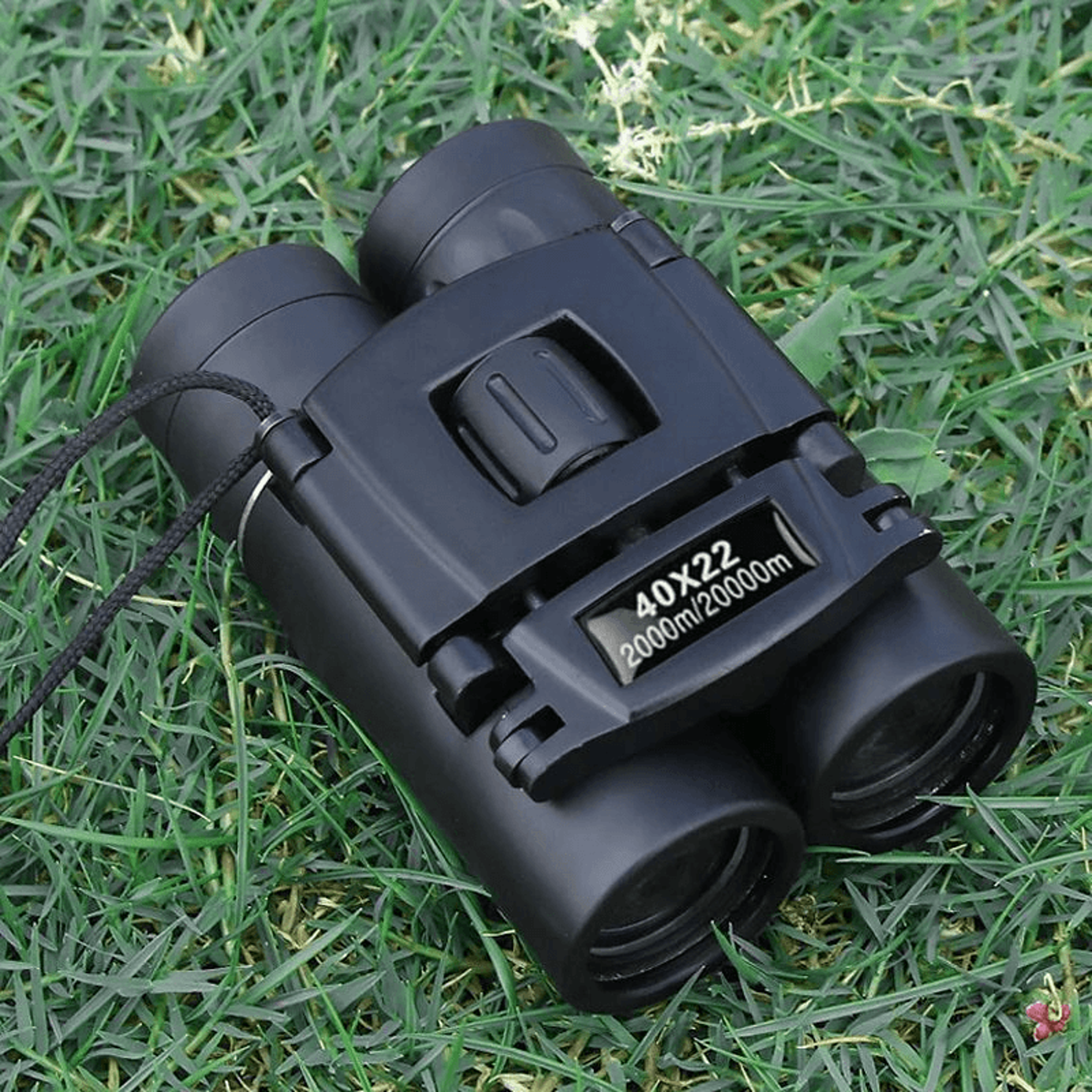 affordable binoculars for beginners