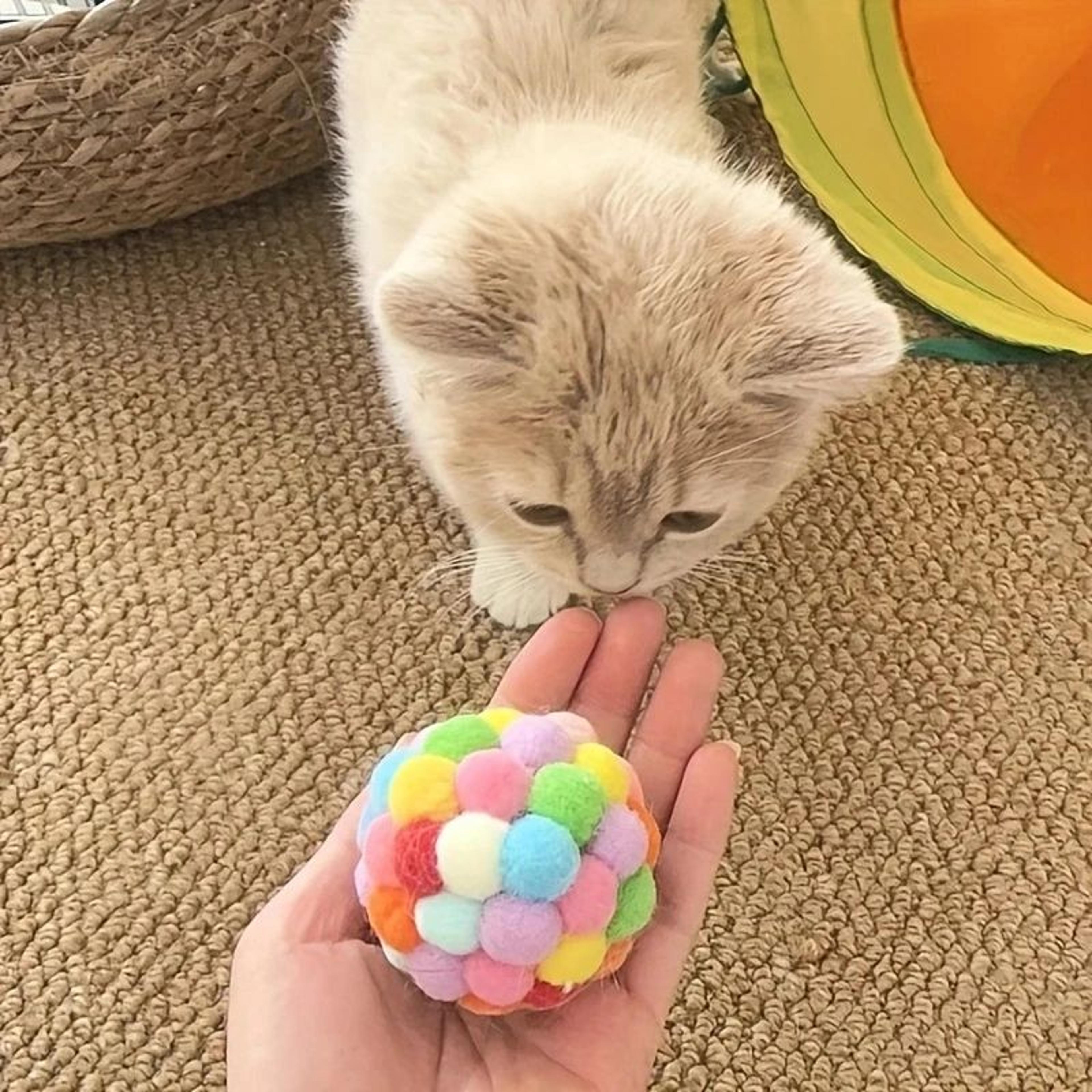 Cat Plush Ball Toy Set Interactive Wool Bell Balls For Play 2