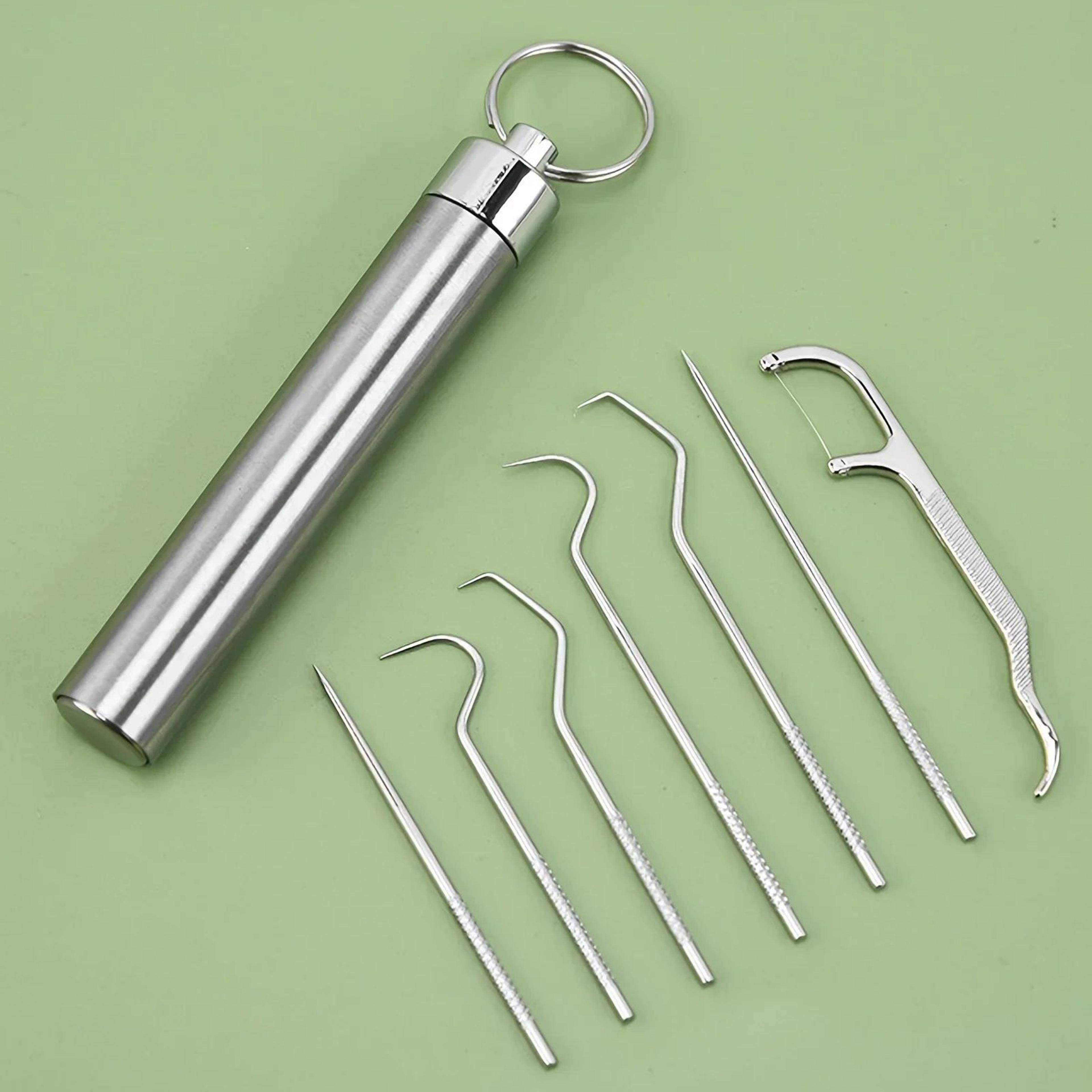 Stainless Steel Reusable Toothpick Set 2