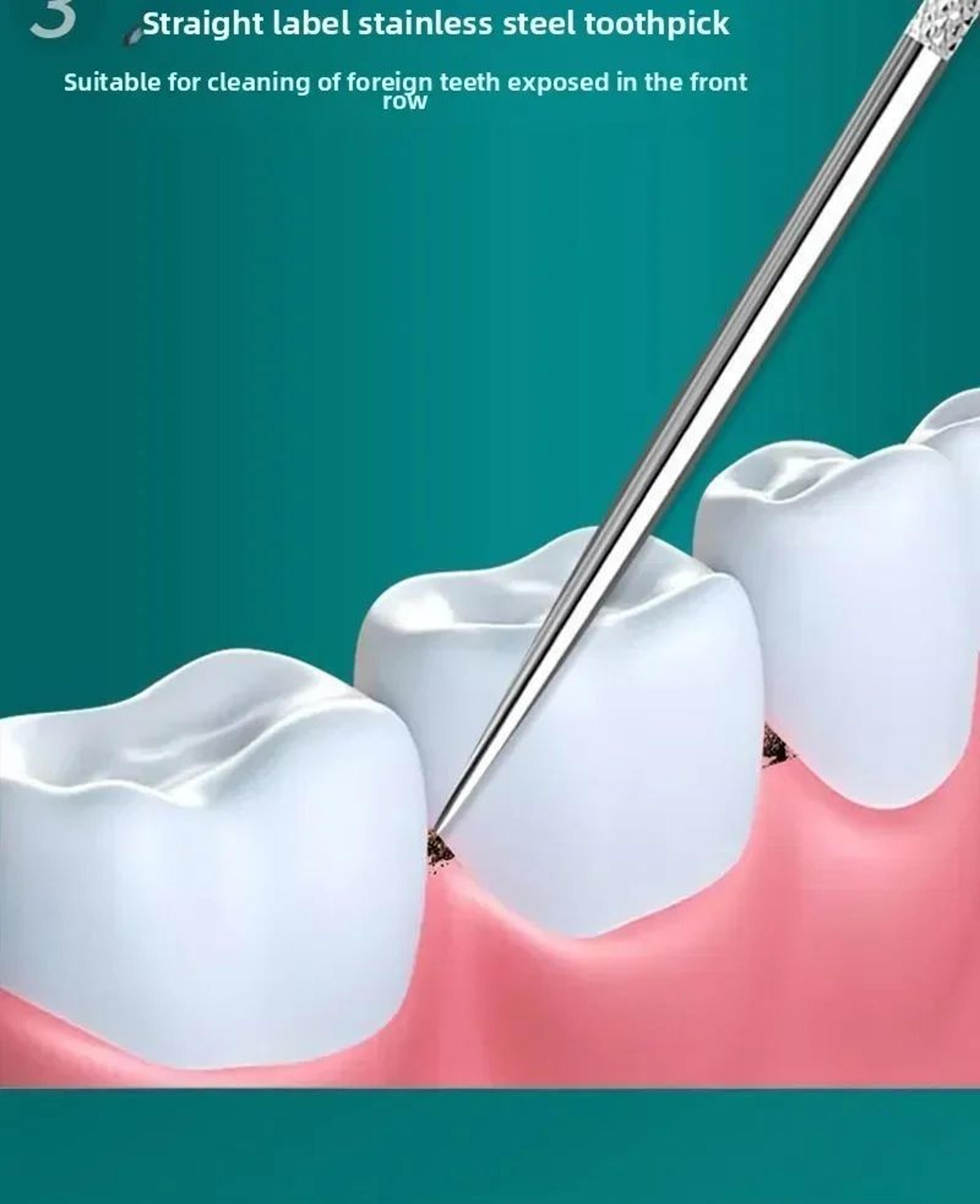 Stainless Steel Reusable Toothpick Set 8