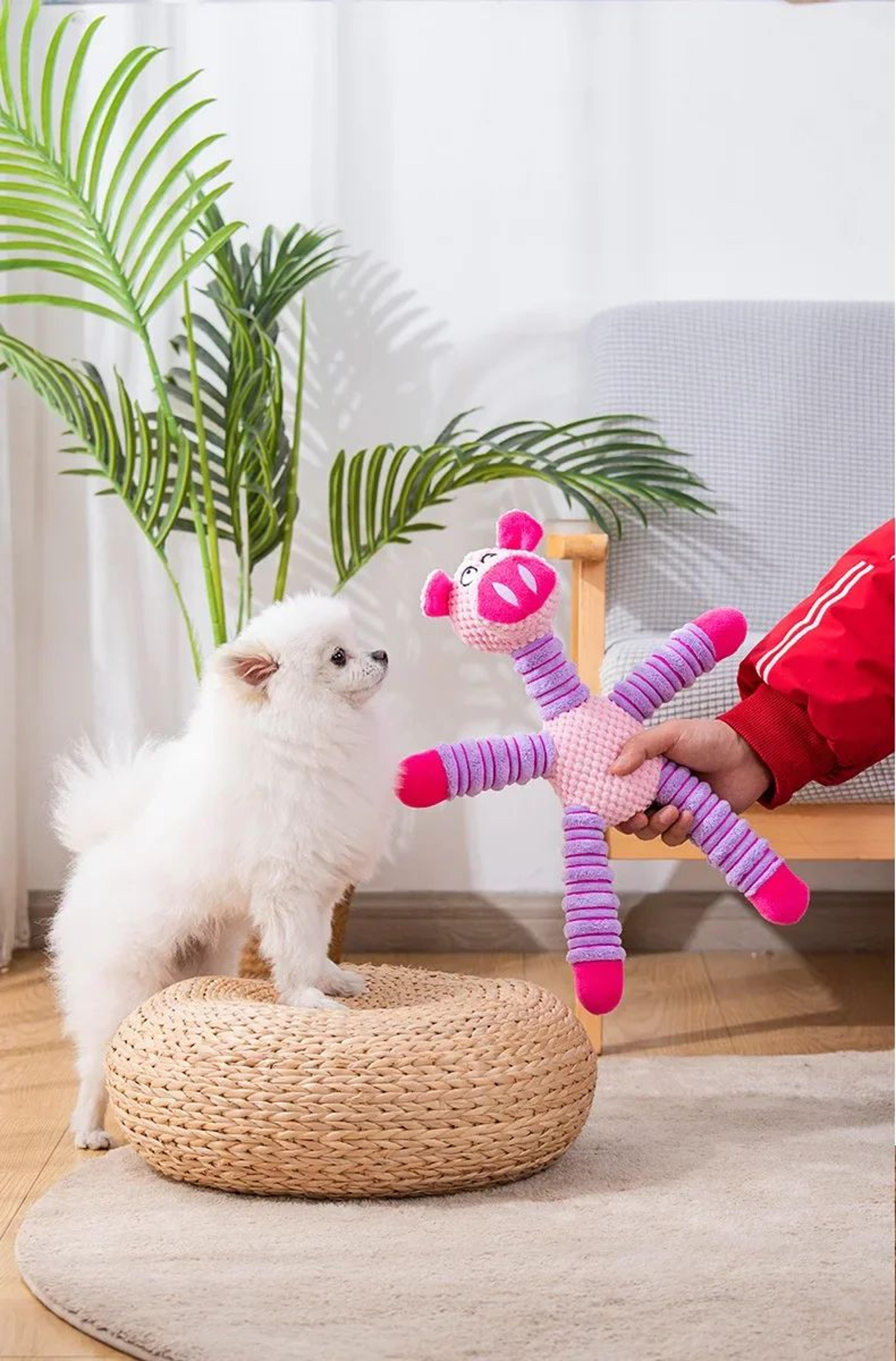 Durable Squeaky Plush Dog Chew Toy 8