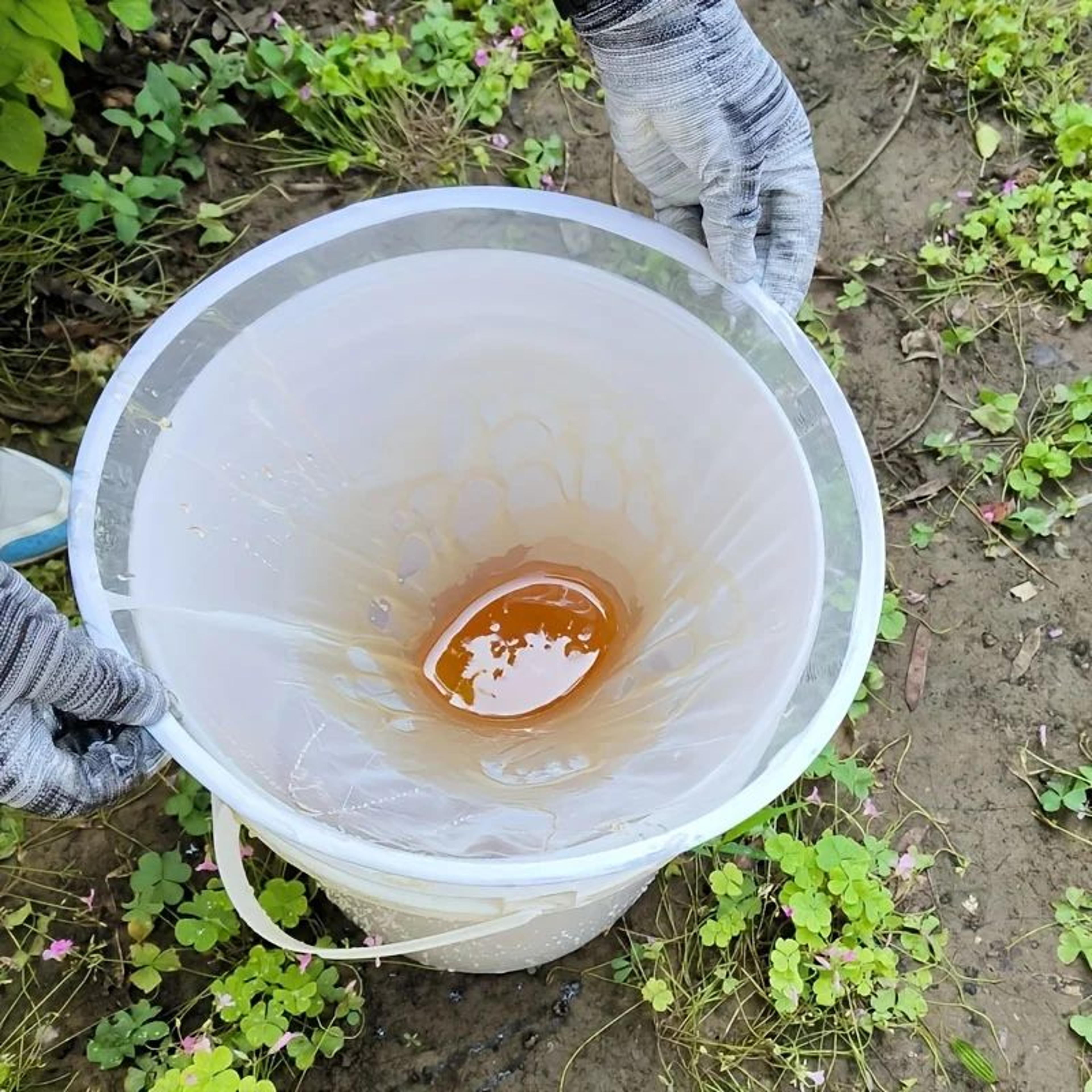Extra Large 138 Inch Nylon Mesh Filter 3