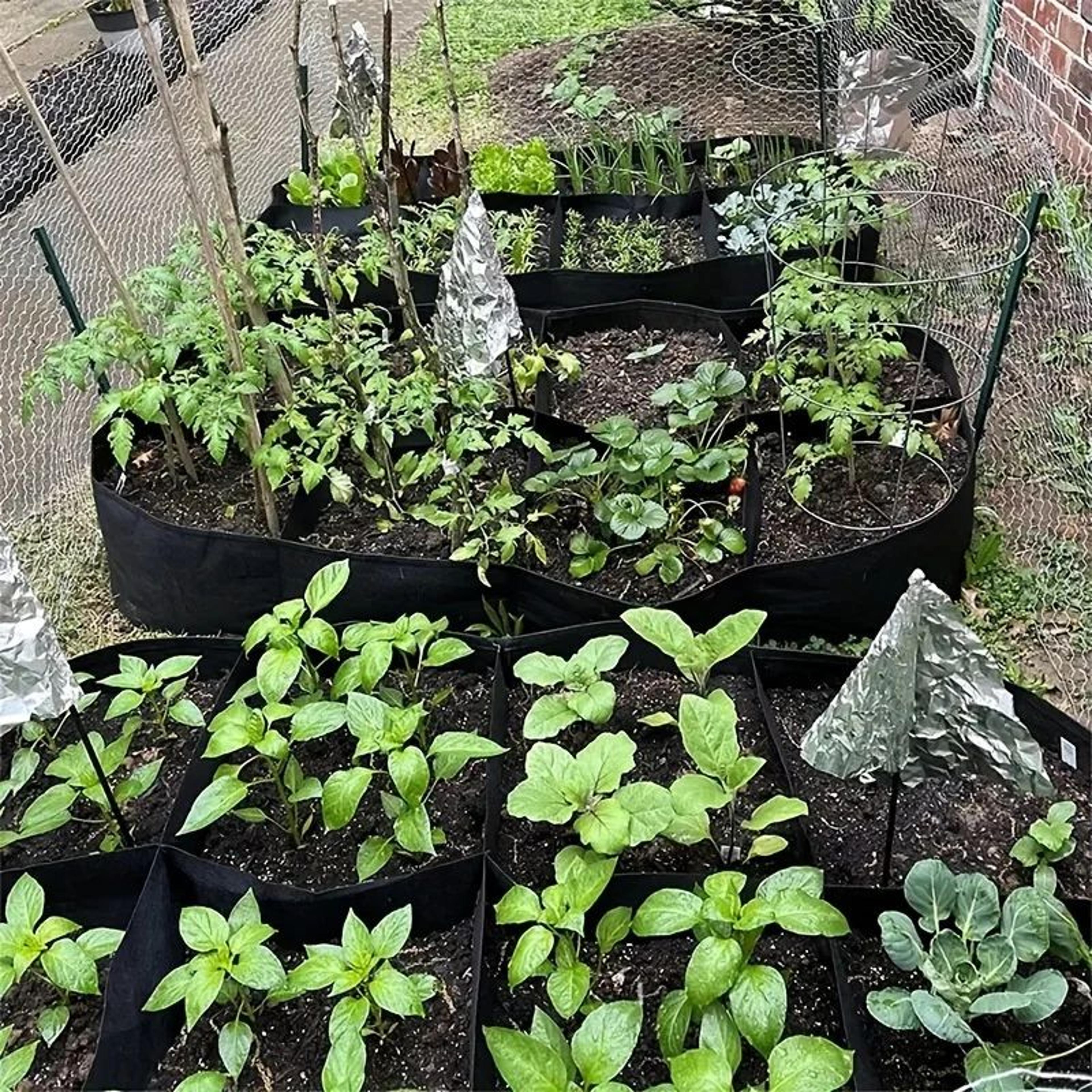 Extra Large Elevated Garden Bed Set 9