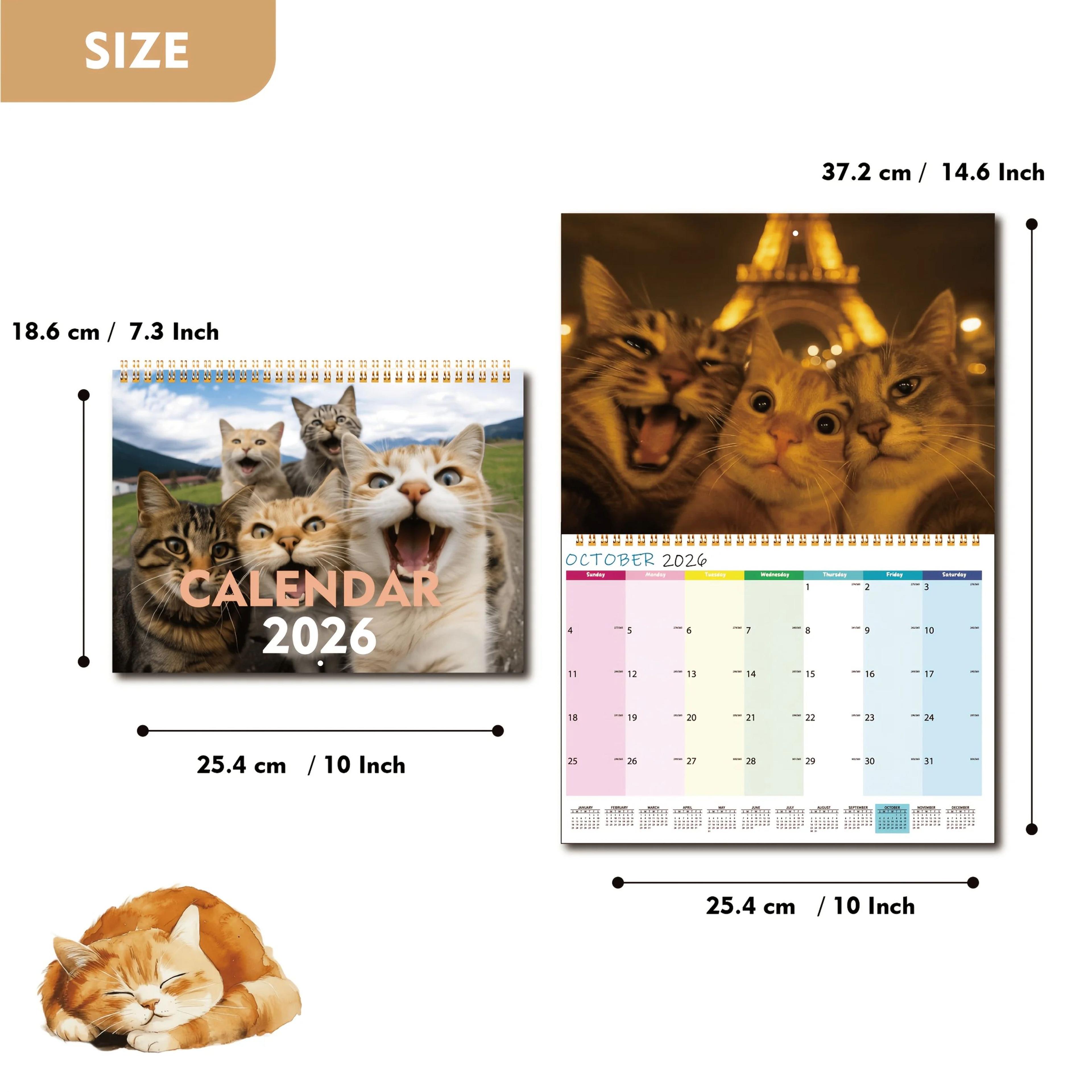 Cats And Friends 2026 Wall Calendar 2
